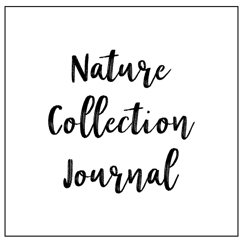 nature collection button.jpg