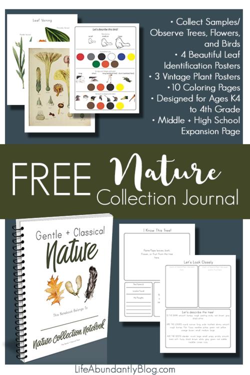 Free Nature Collection Journal pages and workbook