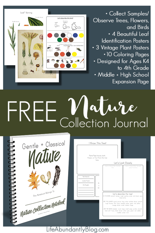 Free Nature for Kids - Giveaways