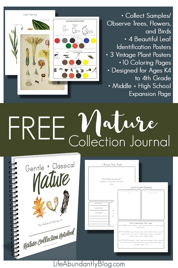 Collecting Nature and Encountering Our Creator (GIANT FREEBIE) — Life, Abundantly collecting-nature-and-encountering-our-creator-giant-freebie-life-abundantly