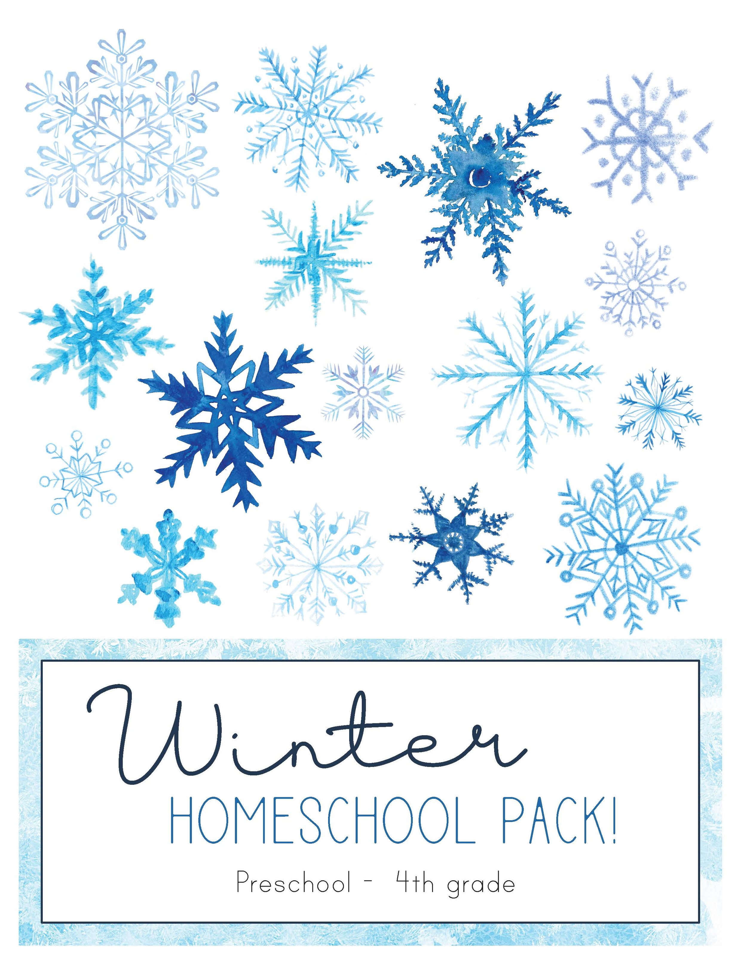 Winter Fun Pack Snowflake Math_Page_01.jpeg