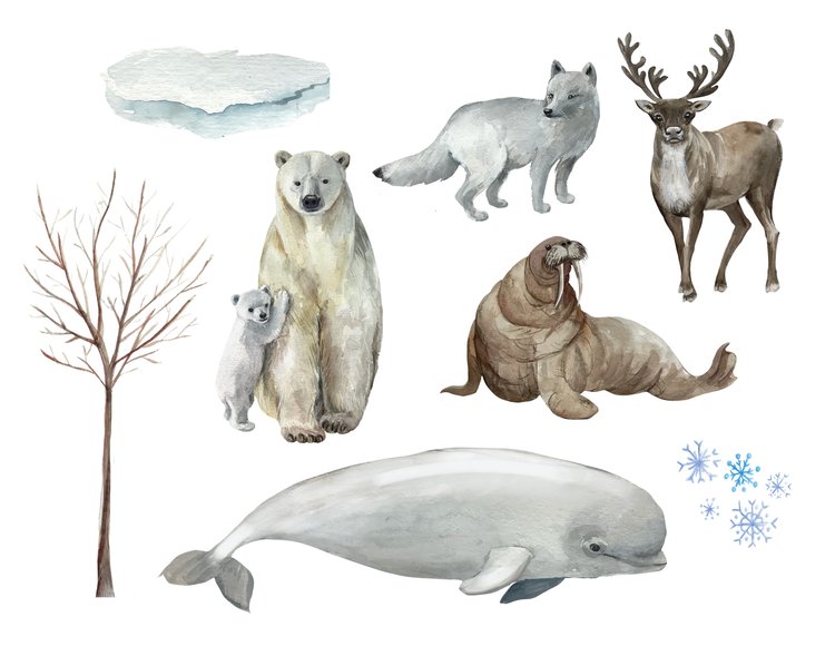 FREE Polar Animals Fun Pack! — Life, Abundantly