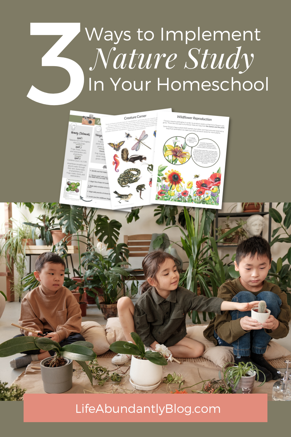 3 Easy Ways to Implement Nature Study in Your Homeschool Curriculum