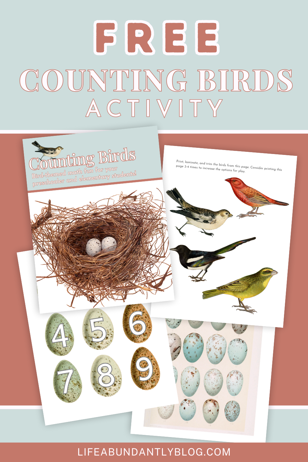 FREE Counting Bird Activity Set