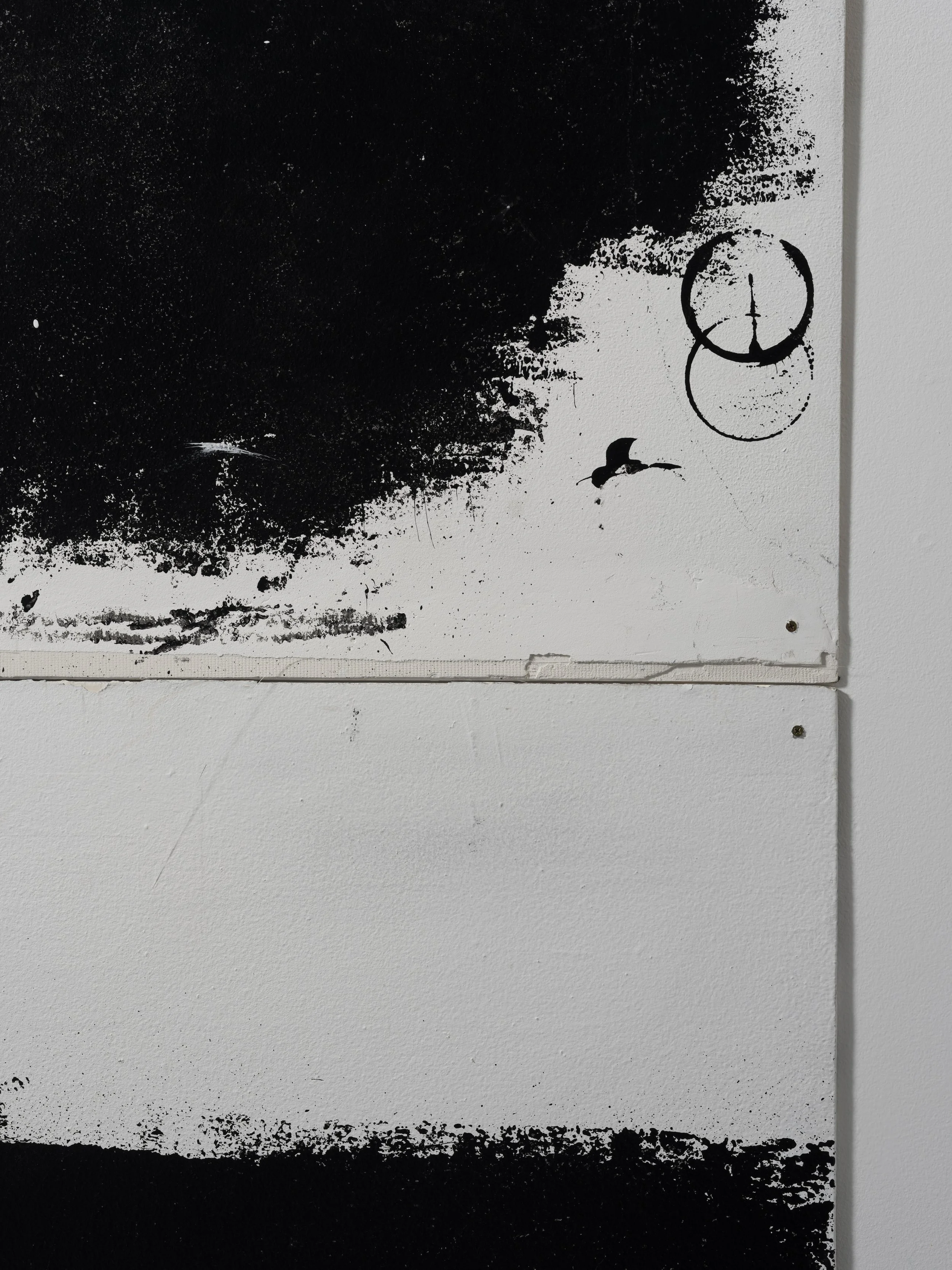 untitled (1 of 16).jpeg