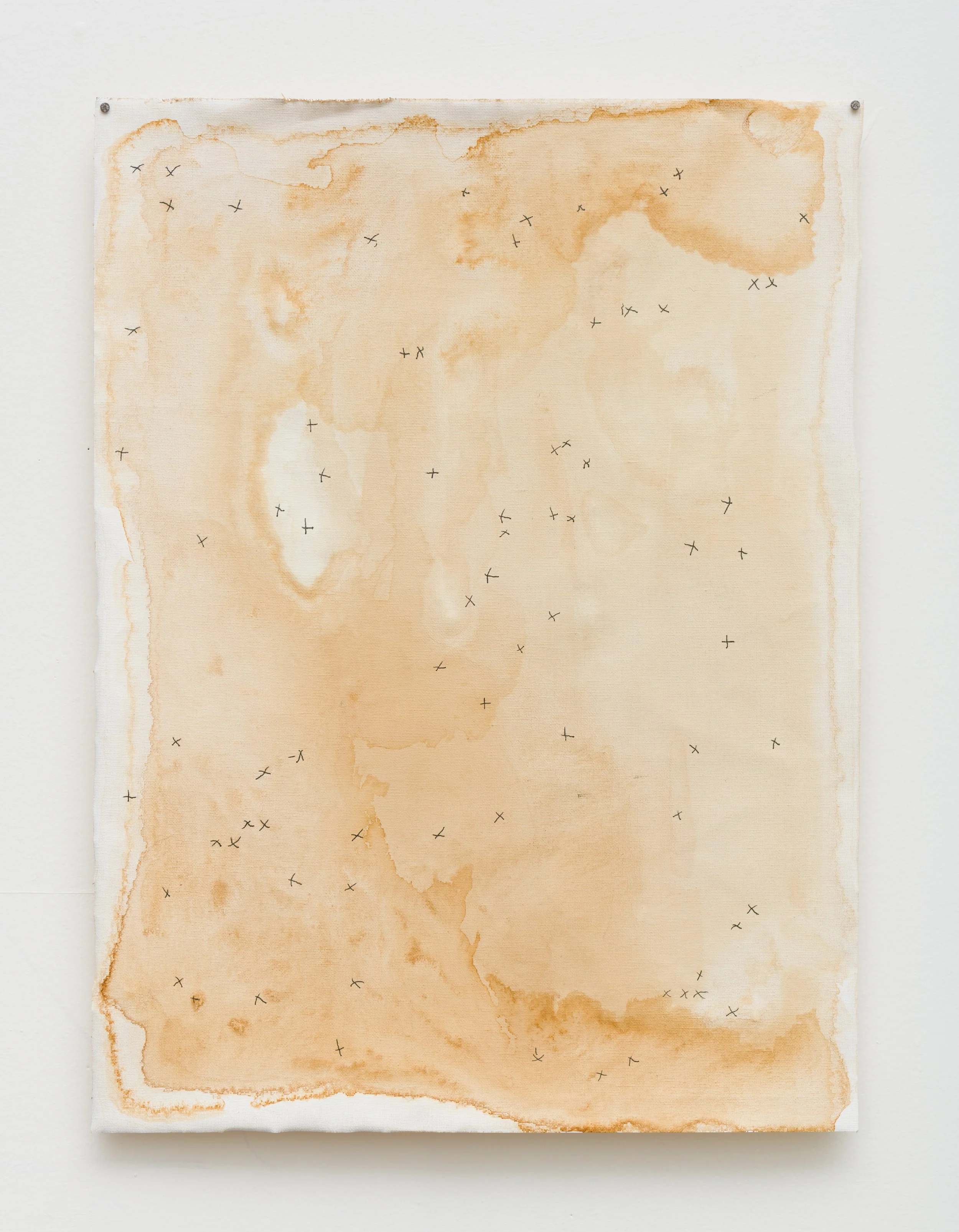 "Southern Crux" 2025