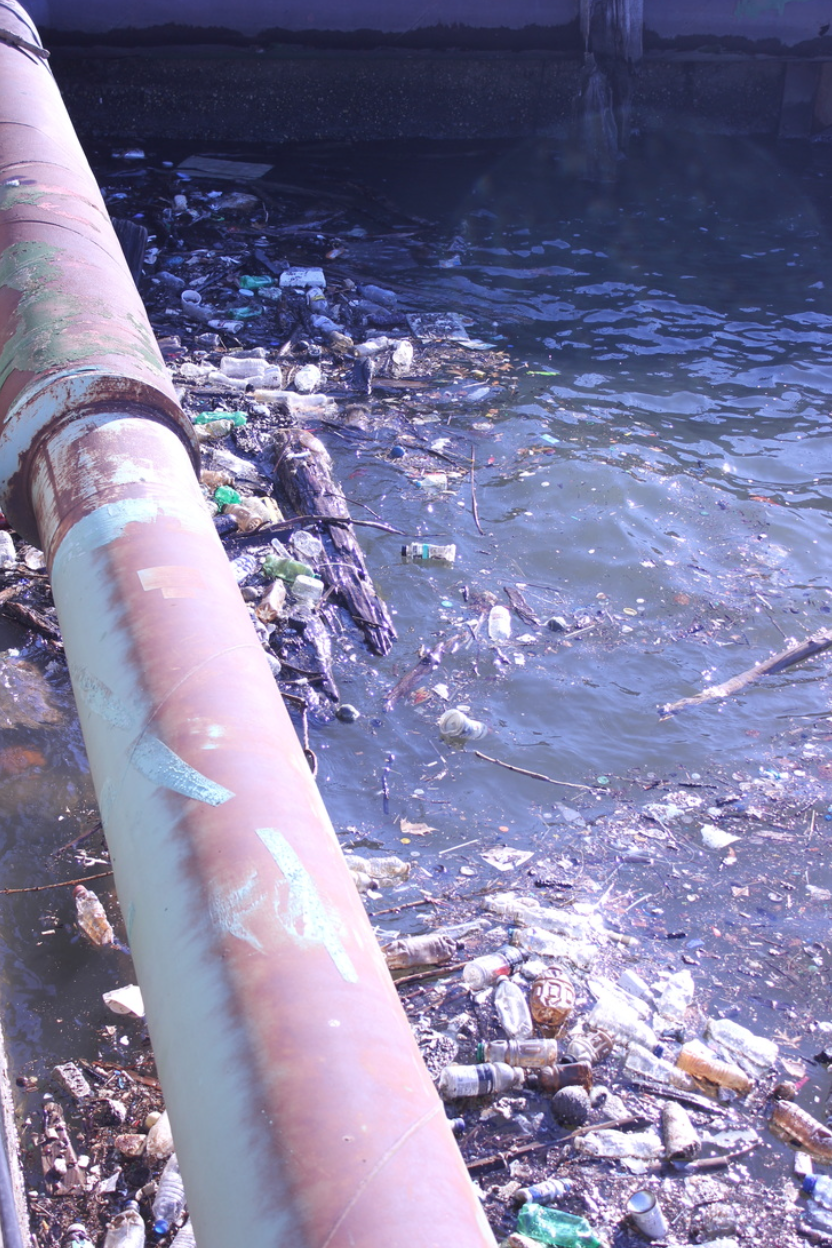 Neglected Trash: Bruise of the water 