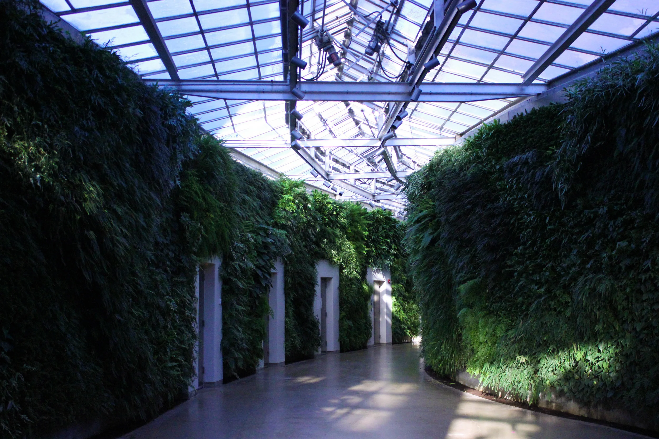 Green wall-7802.jpg