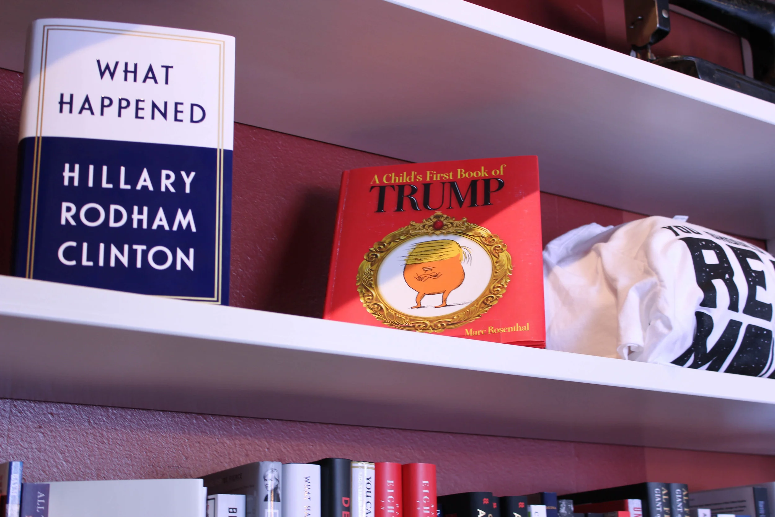 Trump children's book-8093.jpg