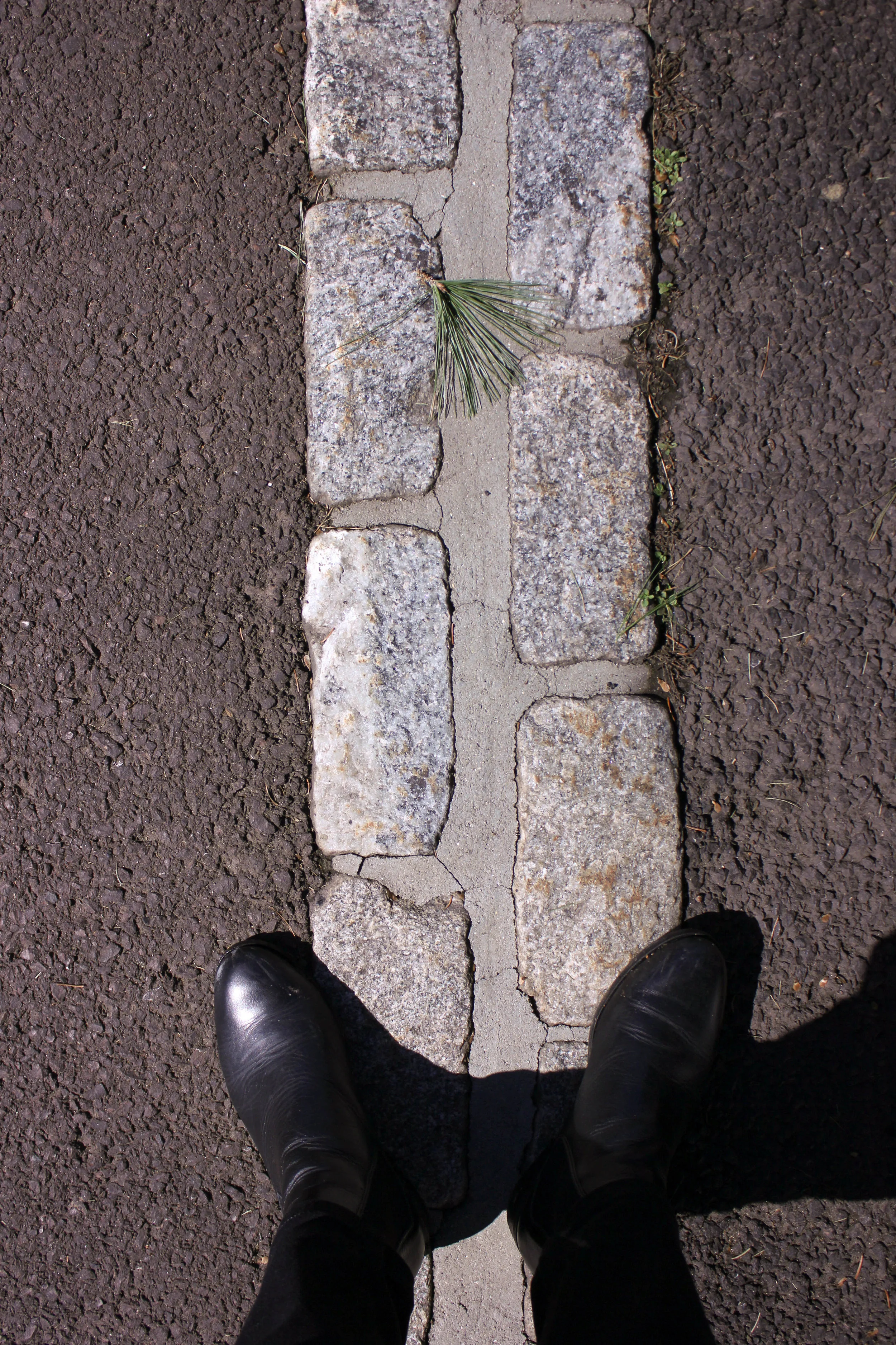 shoes and stones-9656.jpg