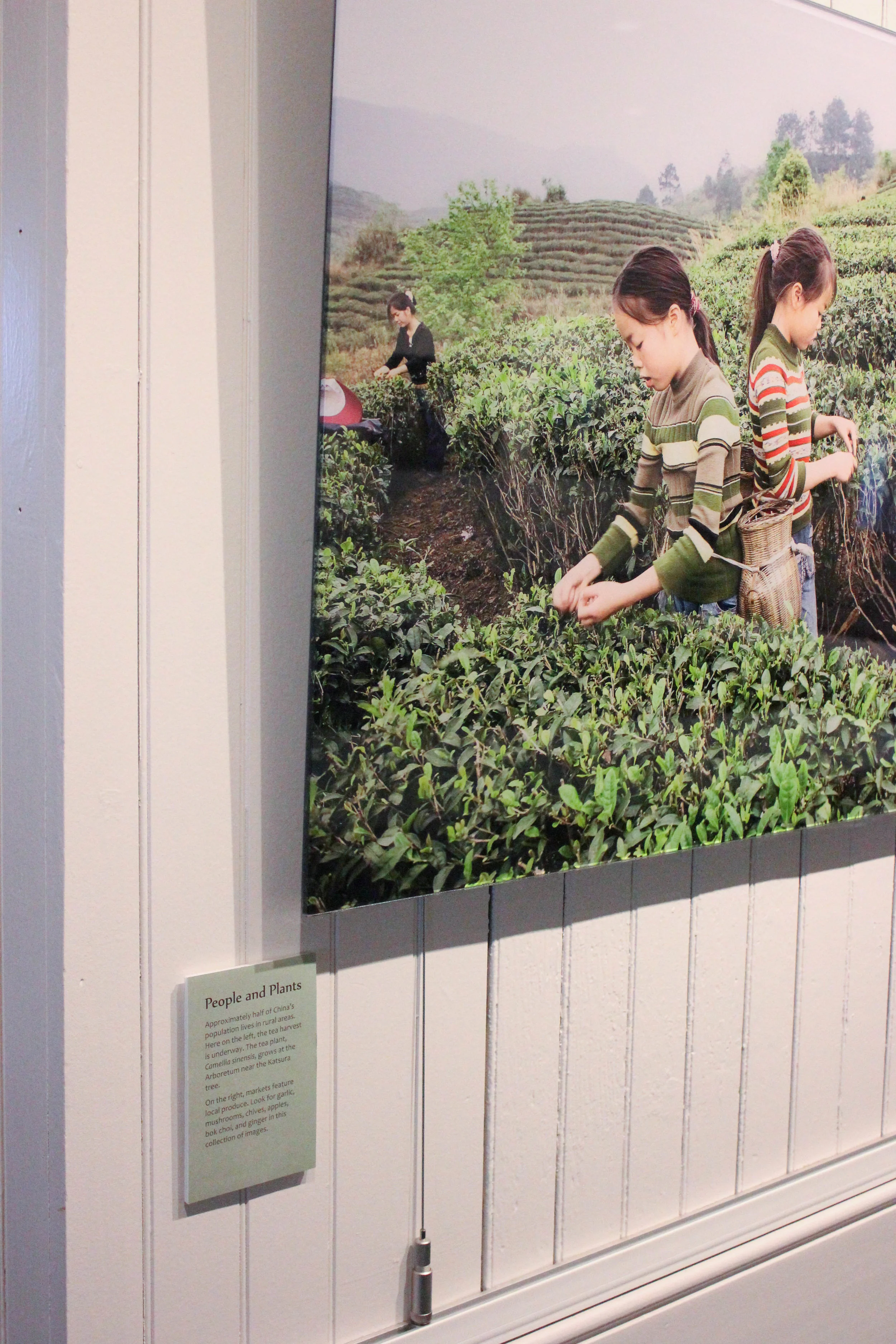 people and plants 2-9902.jpg