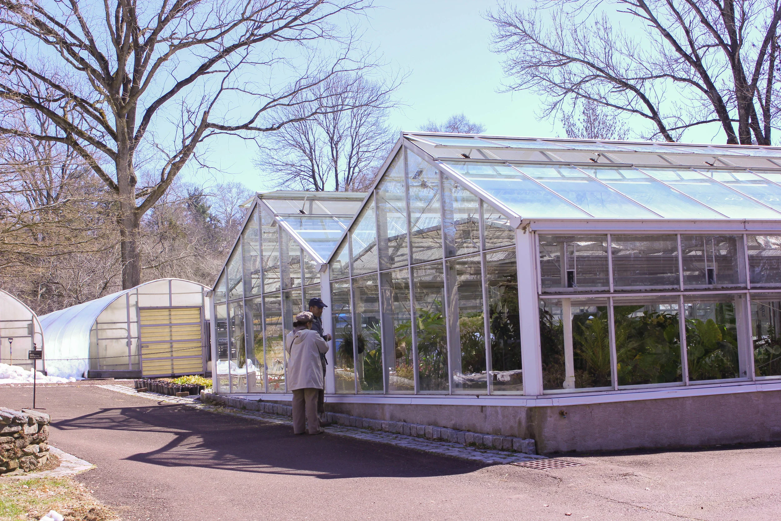 greenhouse bright-0366.jpg