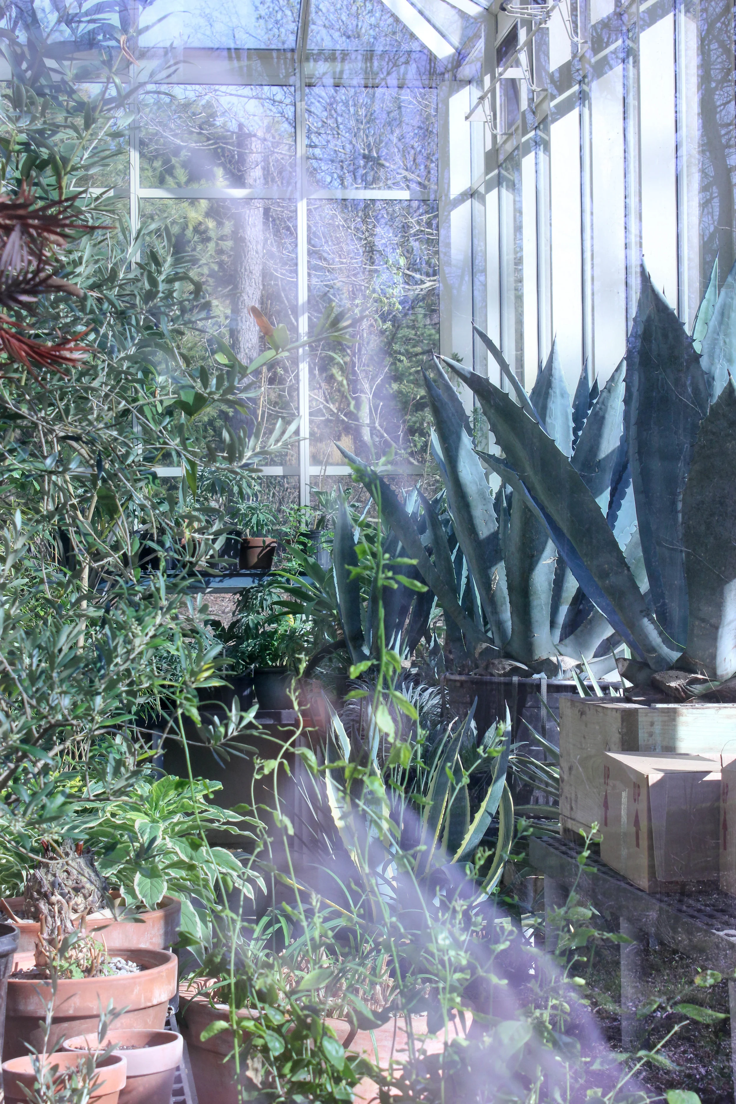plants-0837.jpg