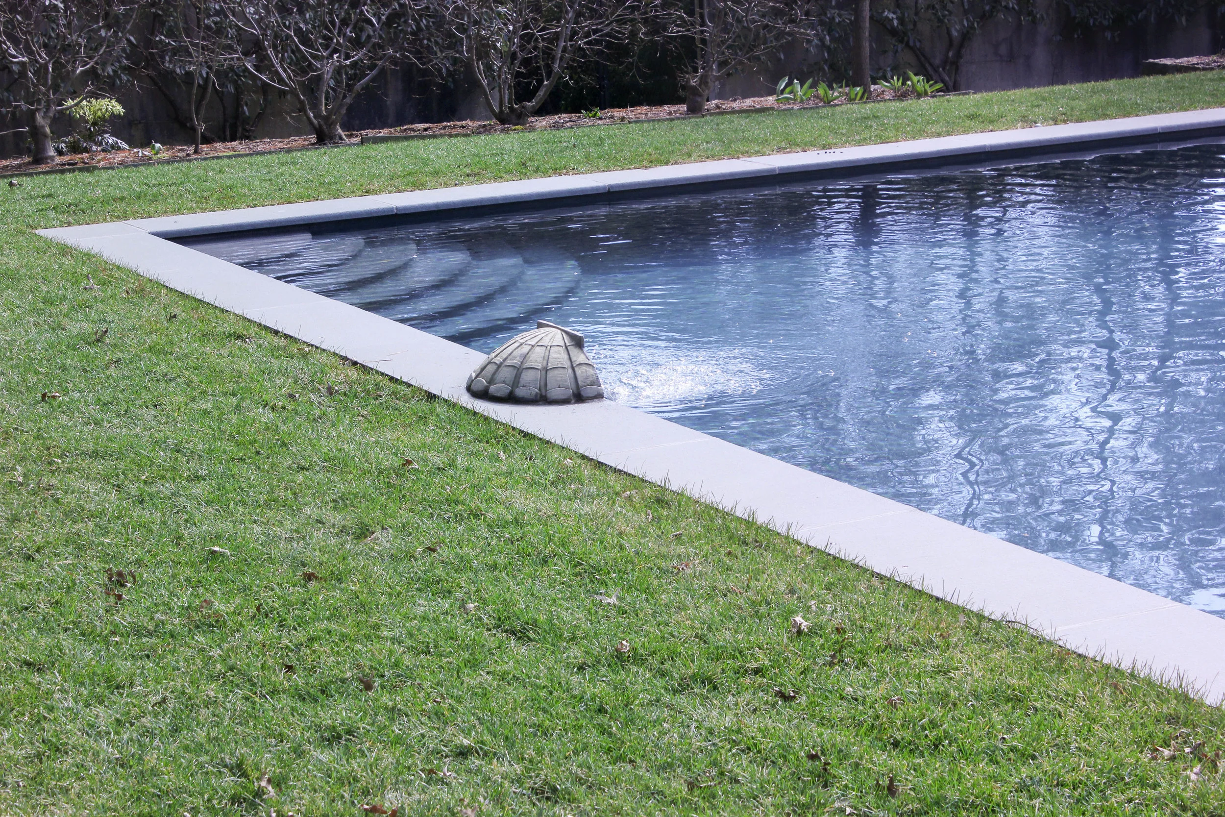 water and shell-0508.jpg