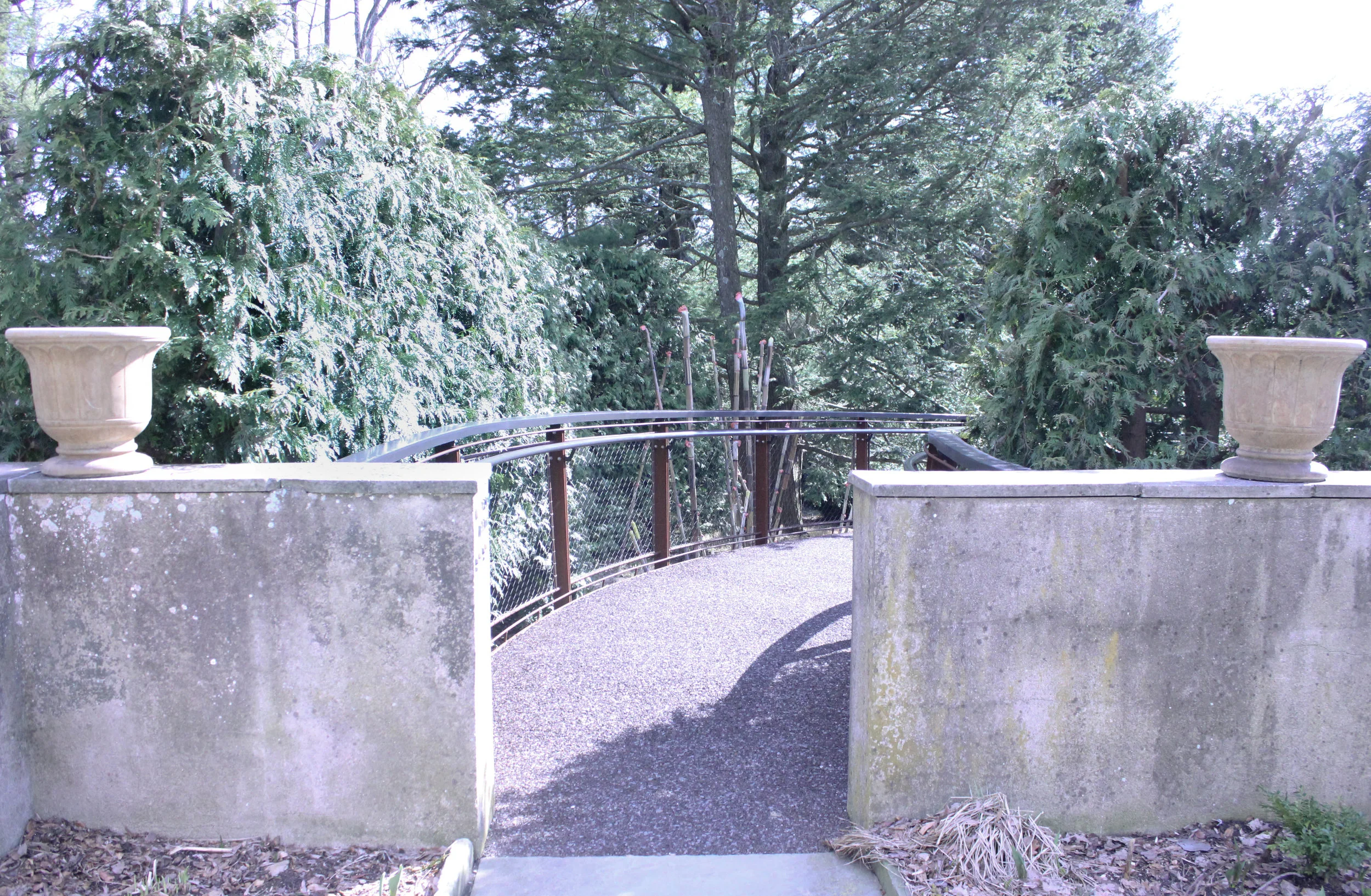trail 2-0532.jpg
