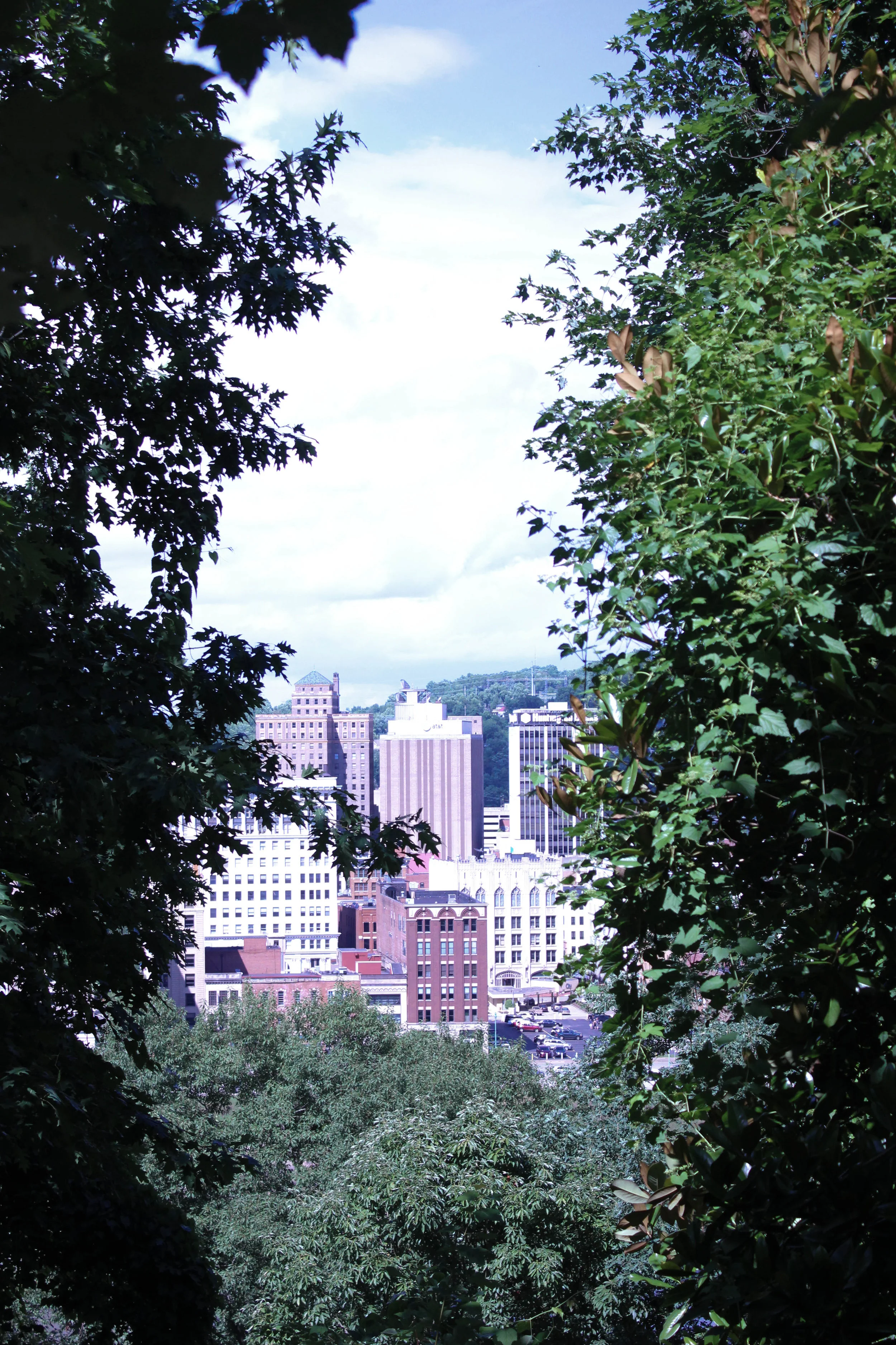 city and nature-5007.jpg