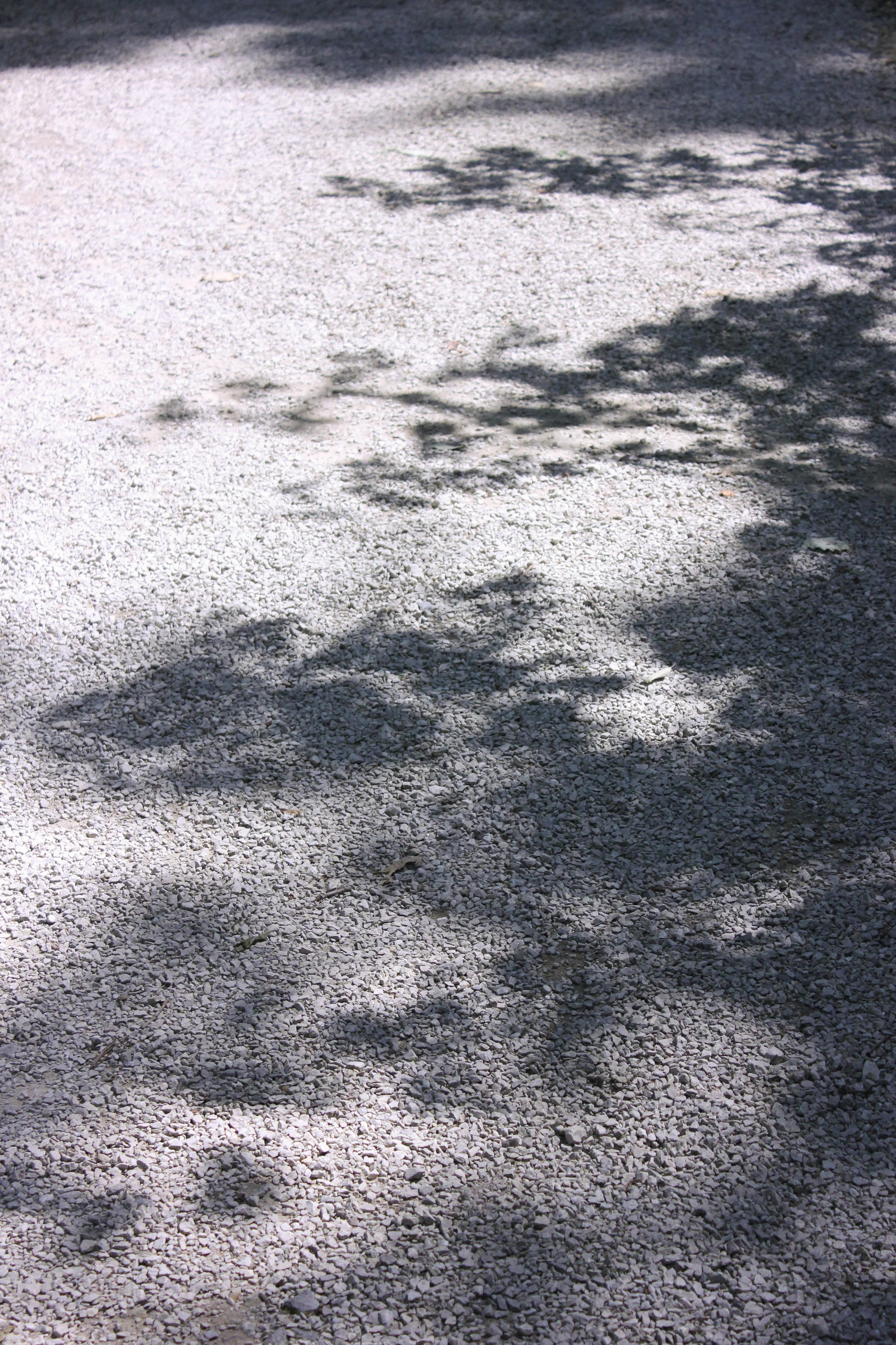 stone and lights-4392.jpg
