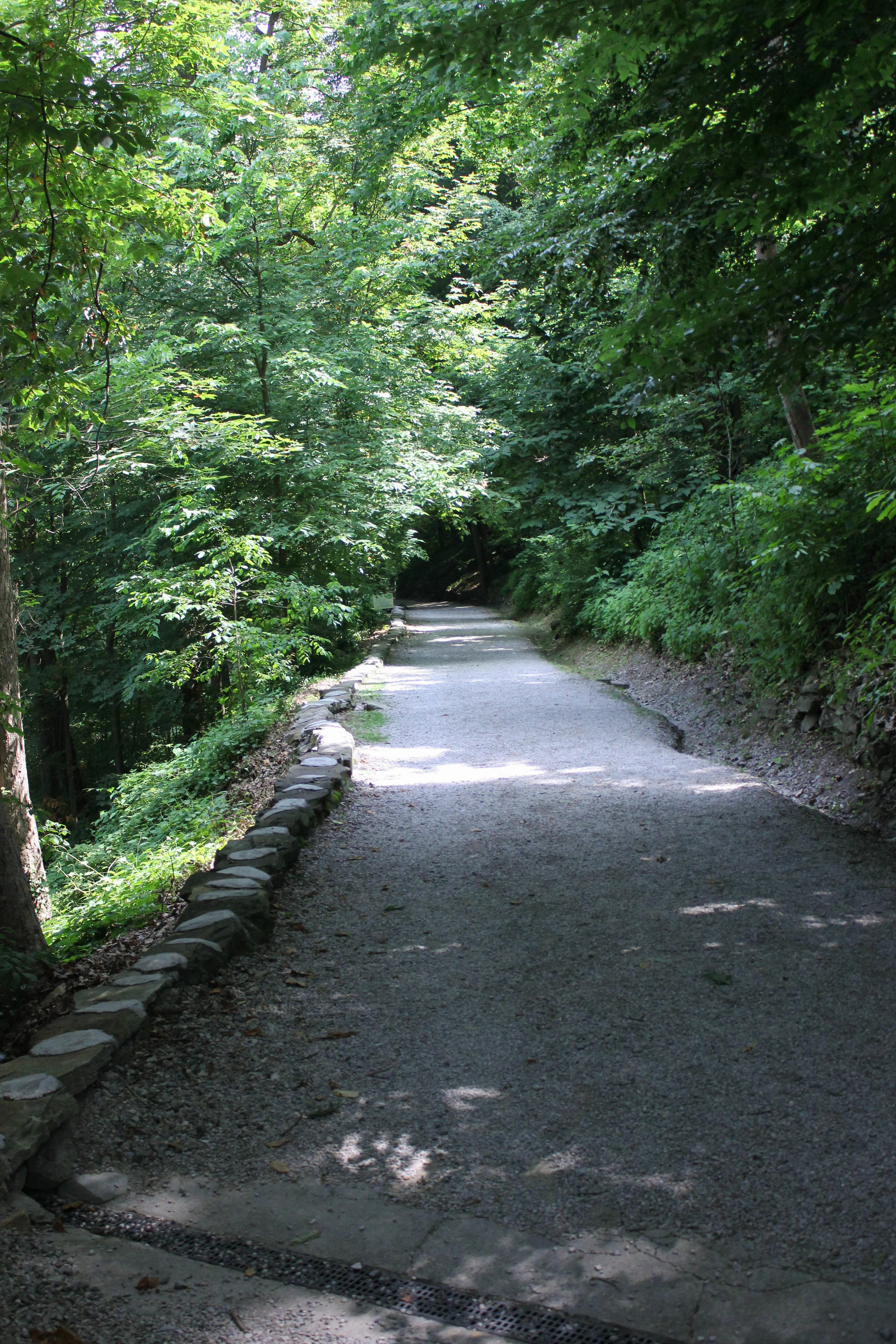 nature trail-4938.jpg
