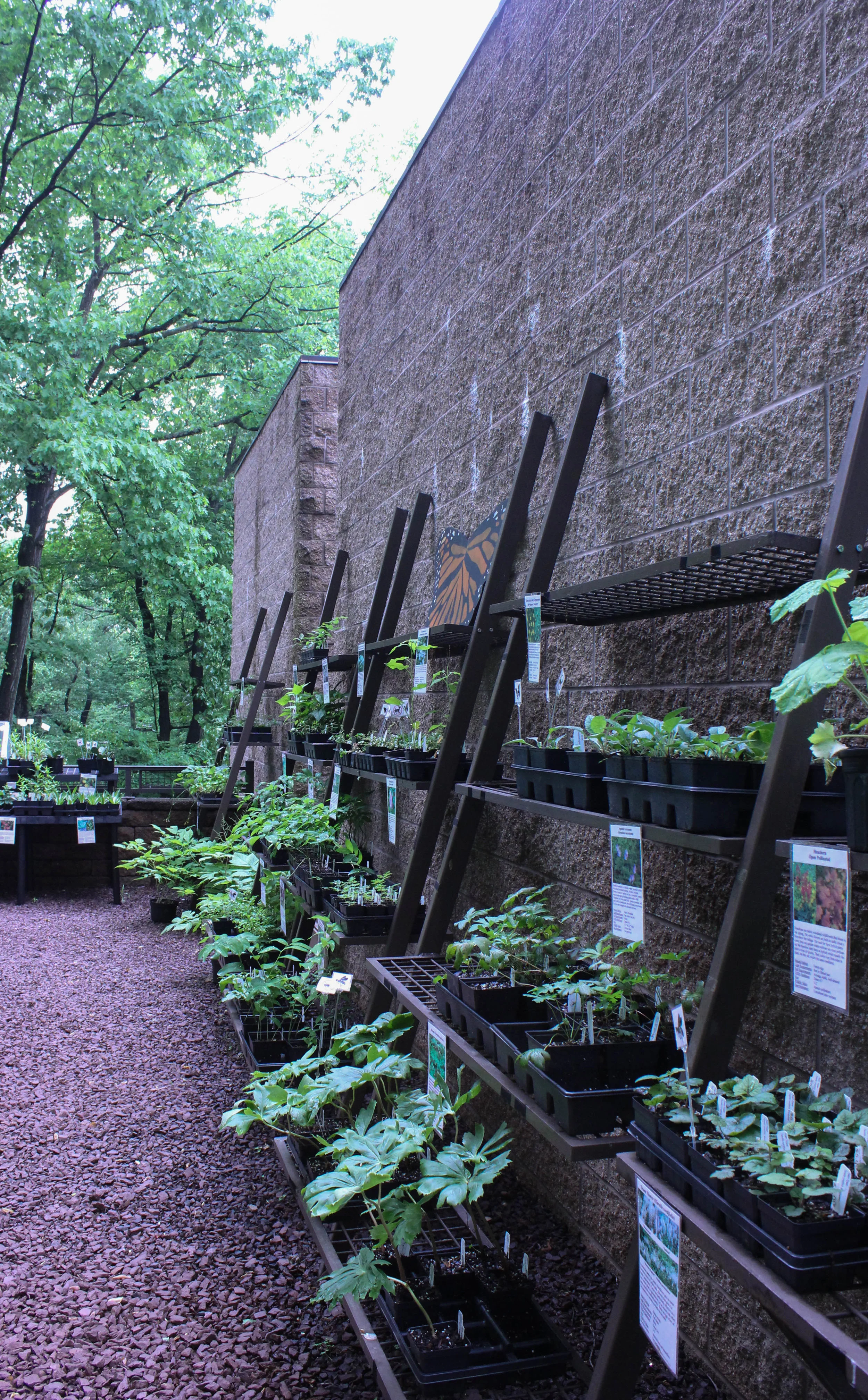 plants-3516.jpg