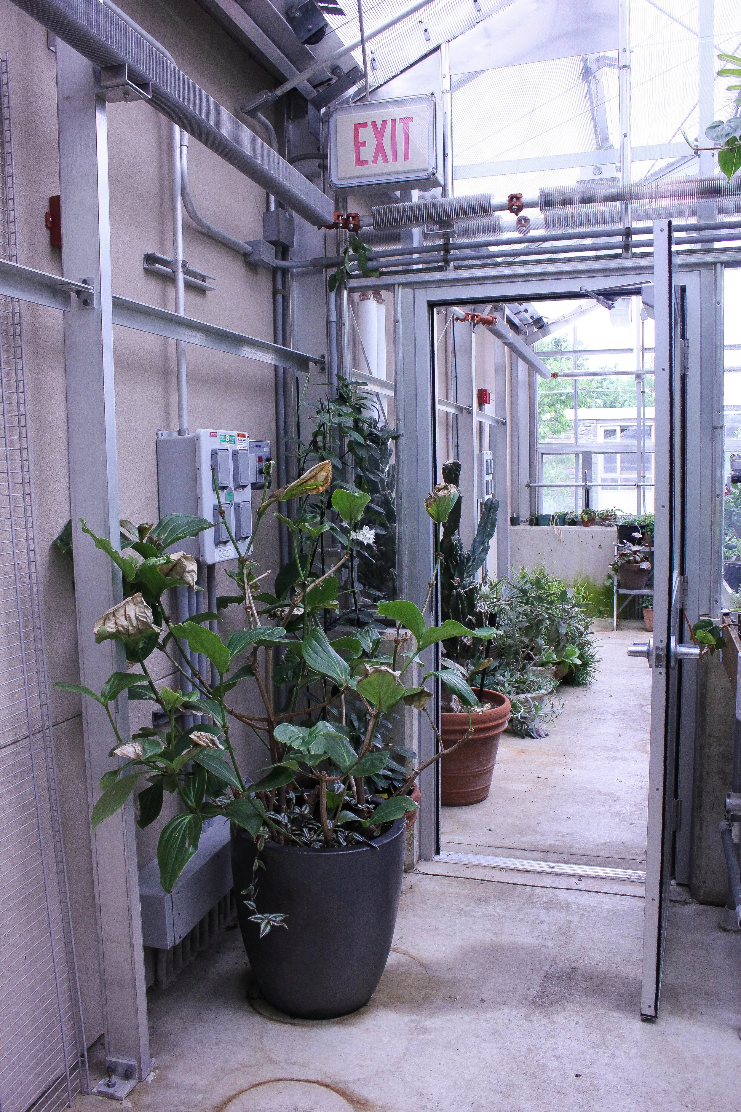 indoor-3867.jpg