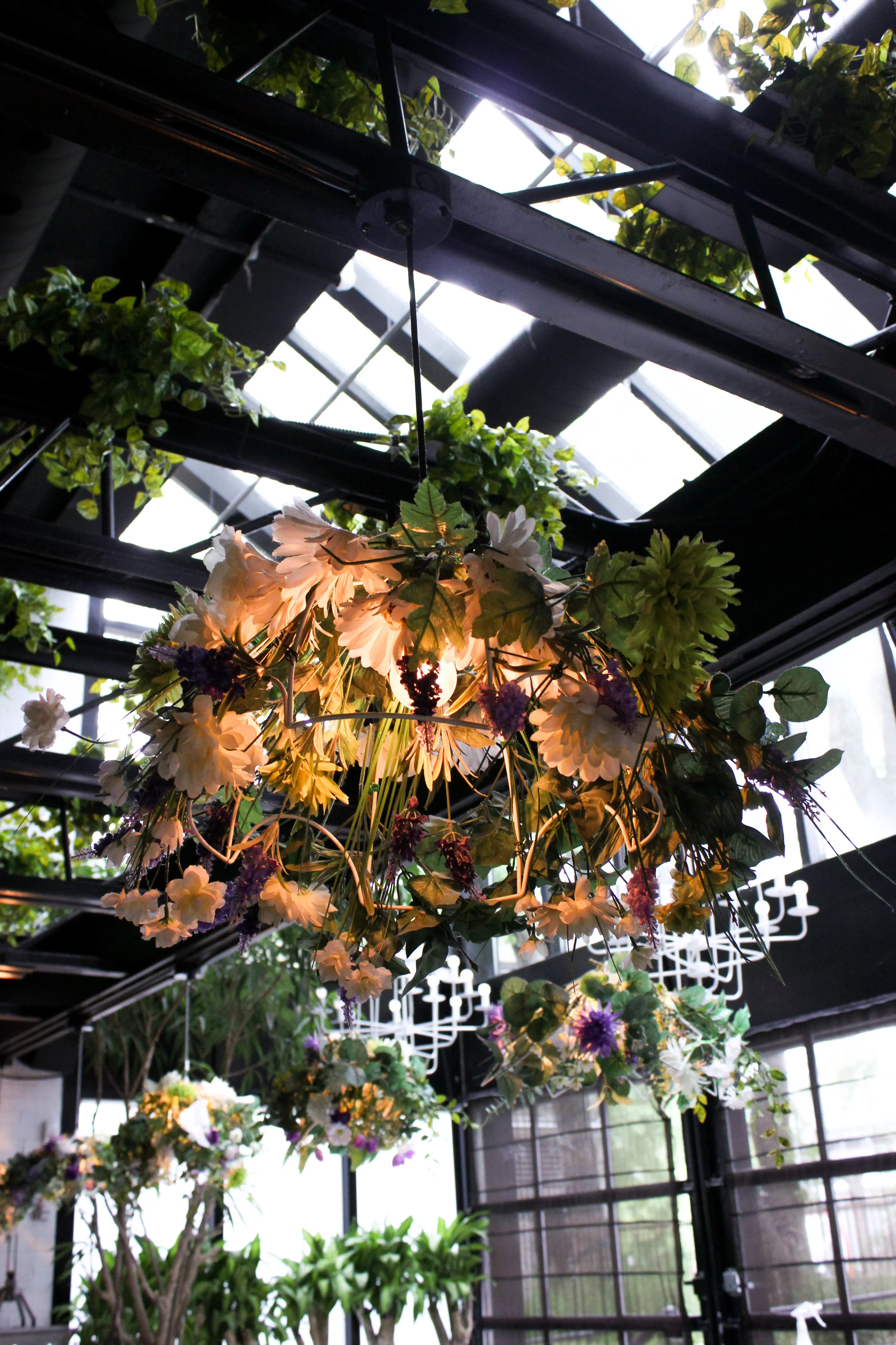 plants-in-restaurant-6179.jpg