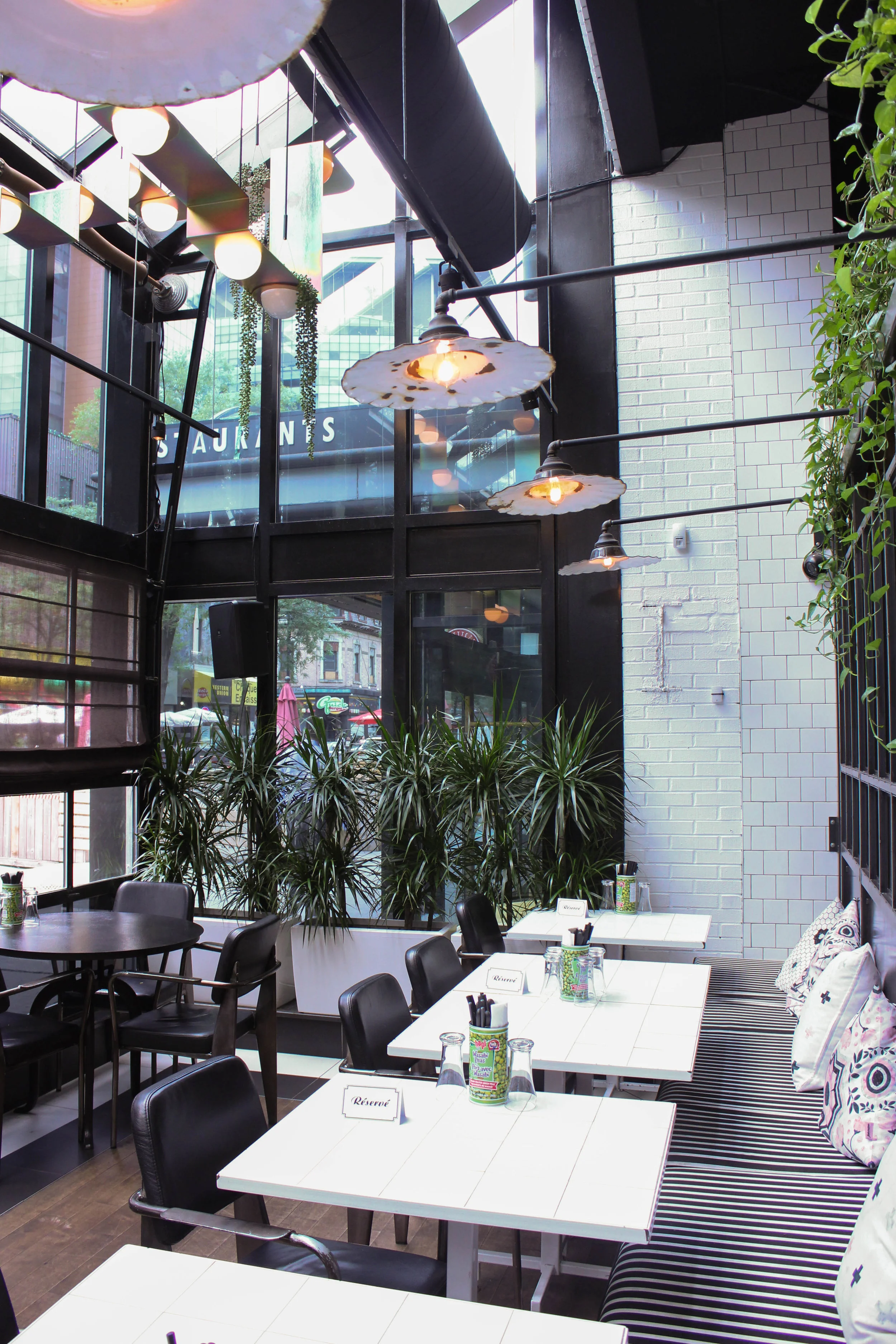 plants-in-restaurant-6157.jpg