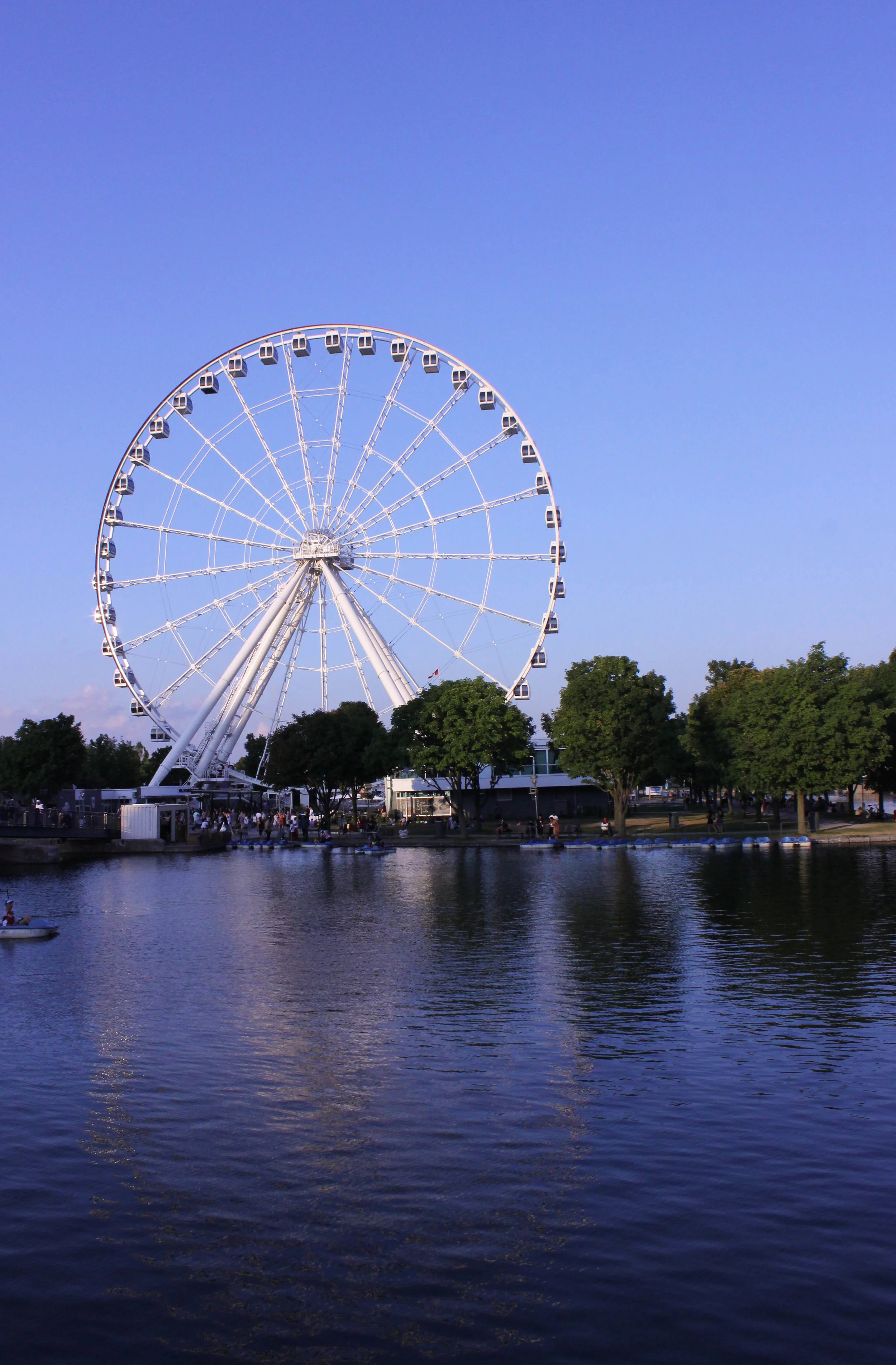wheel-5595.jpg