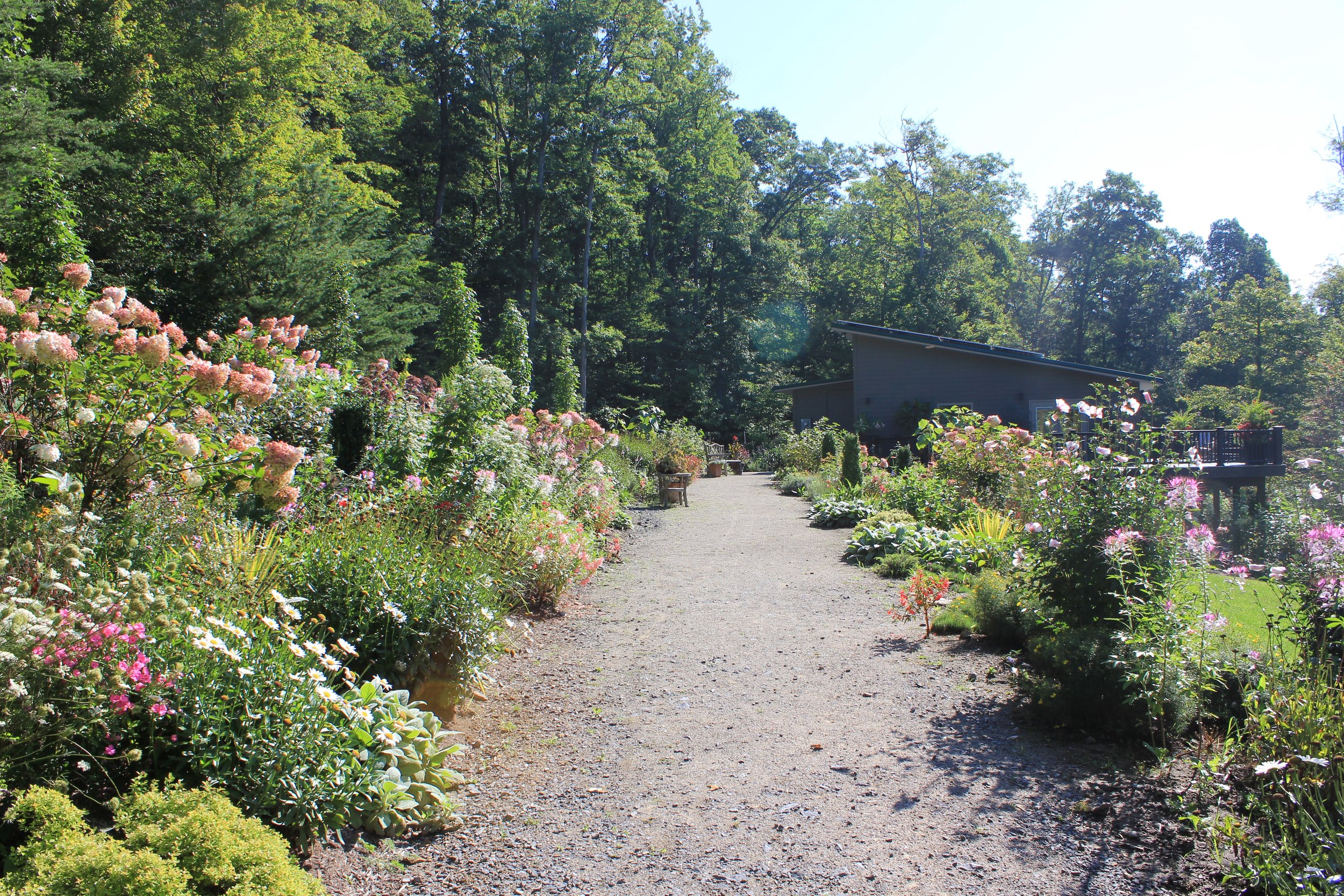 West Virginia Botanical Garden Wild And Wonderful Moushmoush