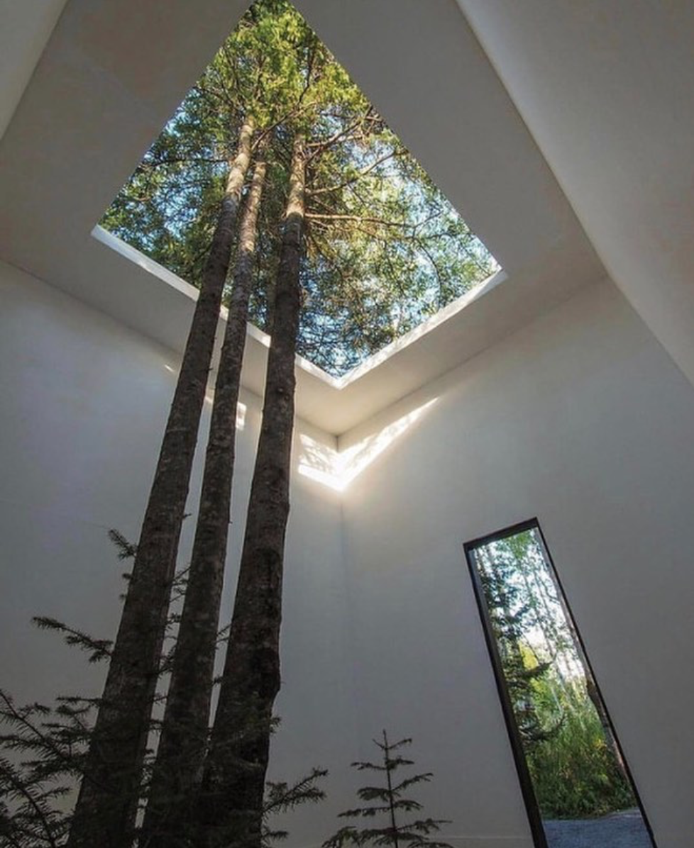 Photo by Plants in decor