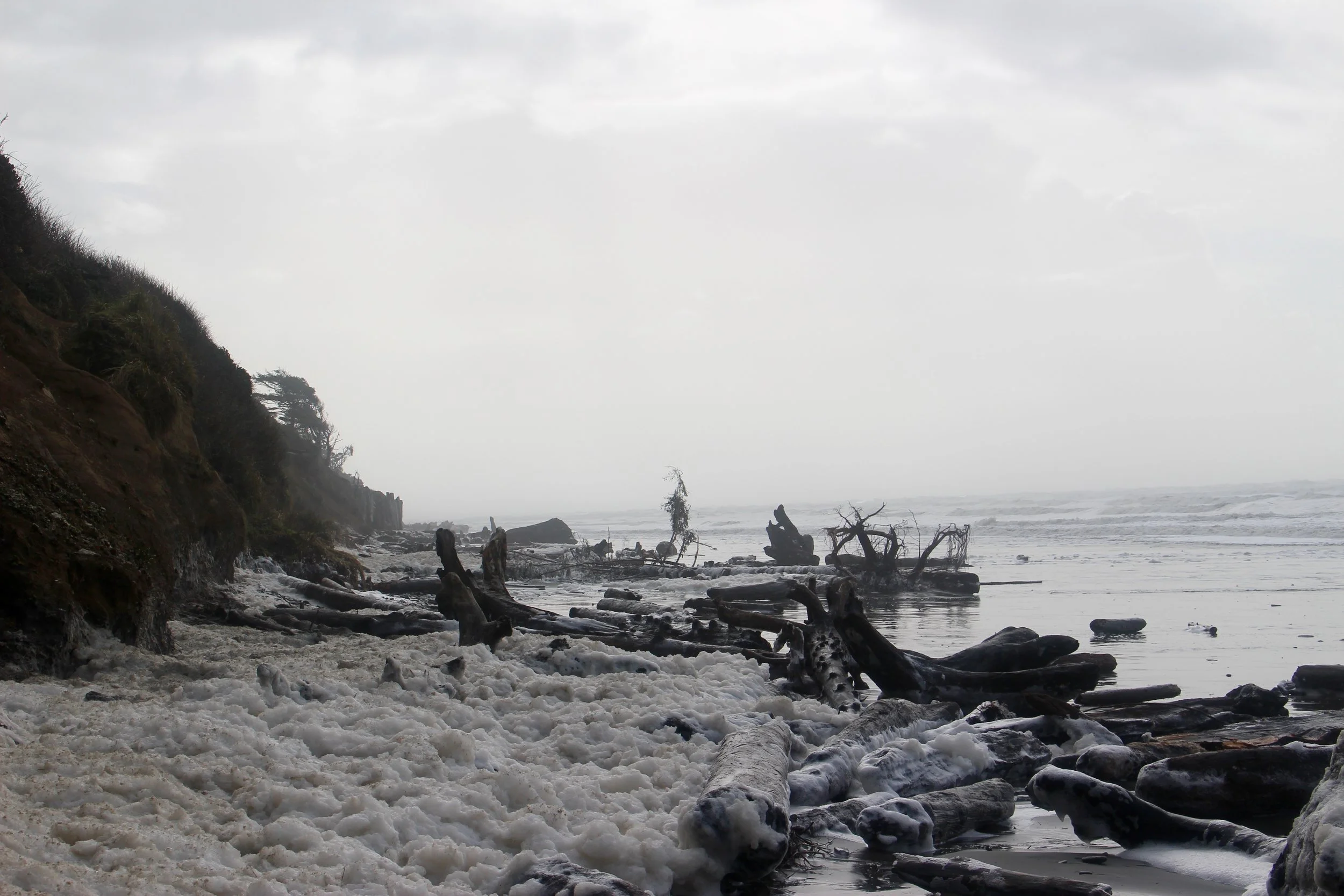 Olympic Peninsula
