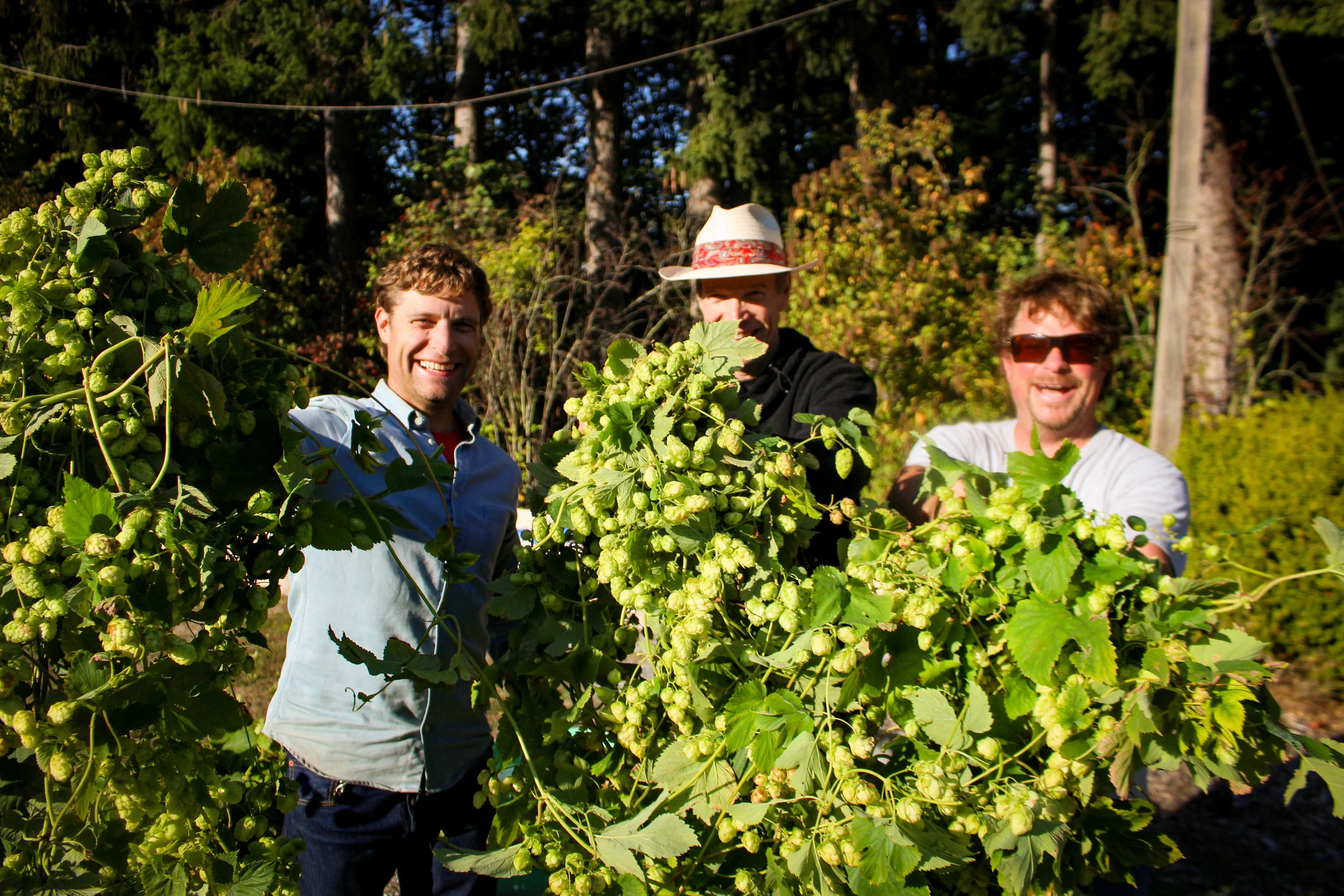Fresh Hop 4.jpg
