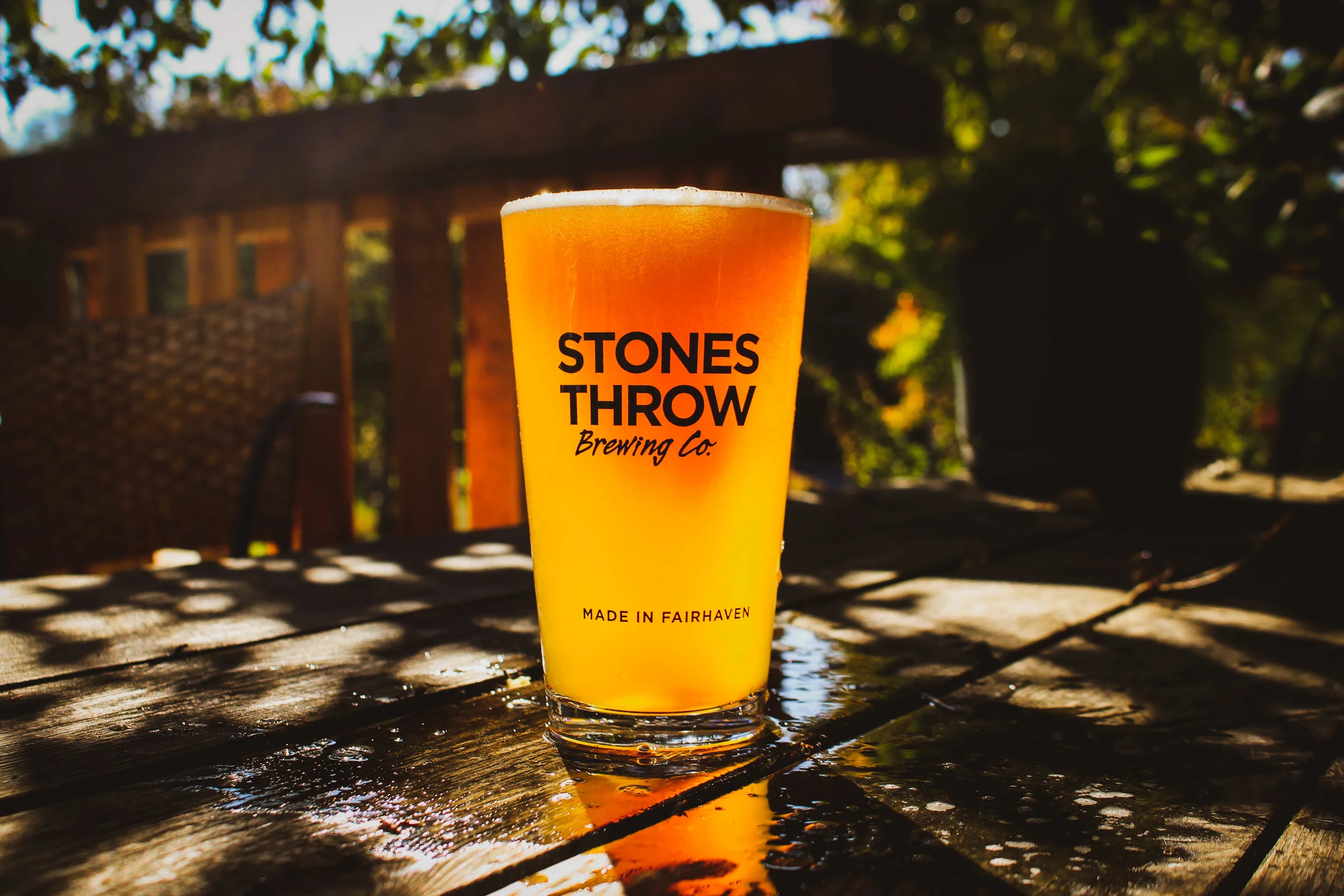 PAWS FOR A BEER.jpg