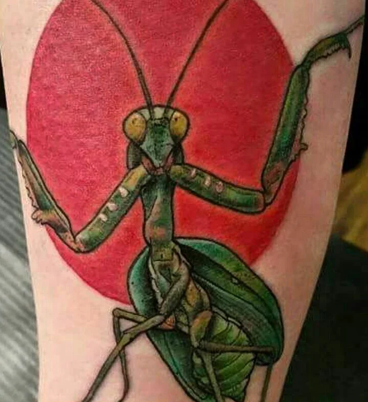 jim_parchen_prayingmantis_bug_forearm_tattoo_losangeles.jpg