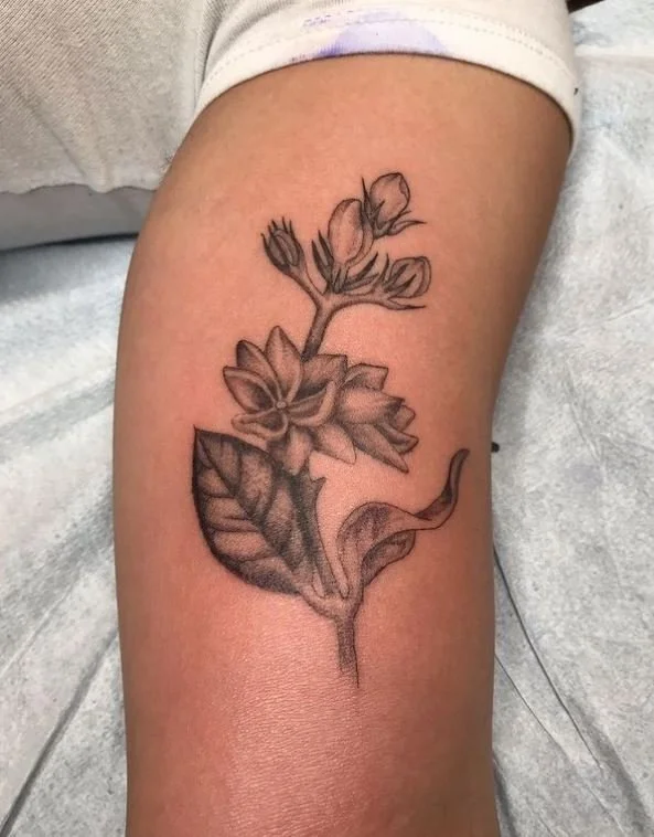 west_nature_plant_flower_flowerbud_arm_blackandgrey_realistic_rabblerousertattoo_losangeles.jpg