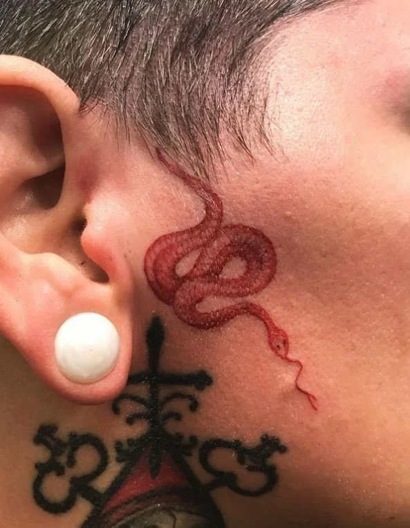 west_red_animal_snake_face_finelines_small_rabblerousertattoo_losangeles.jpg