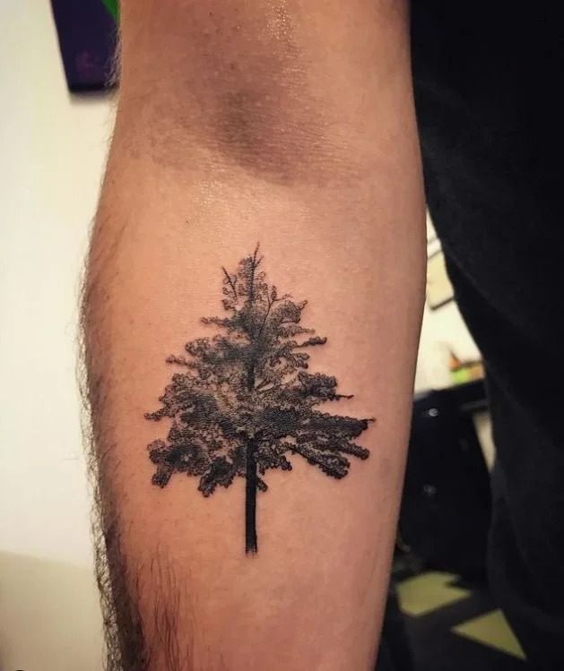 west_forearm_nature_tree_pine_realistic_blackandgrey_fineline_detailed_rabblerousertattoo_losangeles.jpg