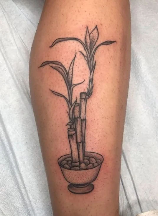 west_nature_plant_bamboo_blackandgrey_realistic_rabblerousertattoo_losangeles.jpg
