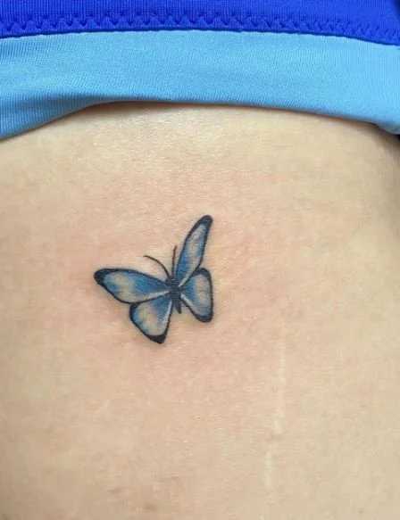 cummings blue butterfly small bug.JPG