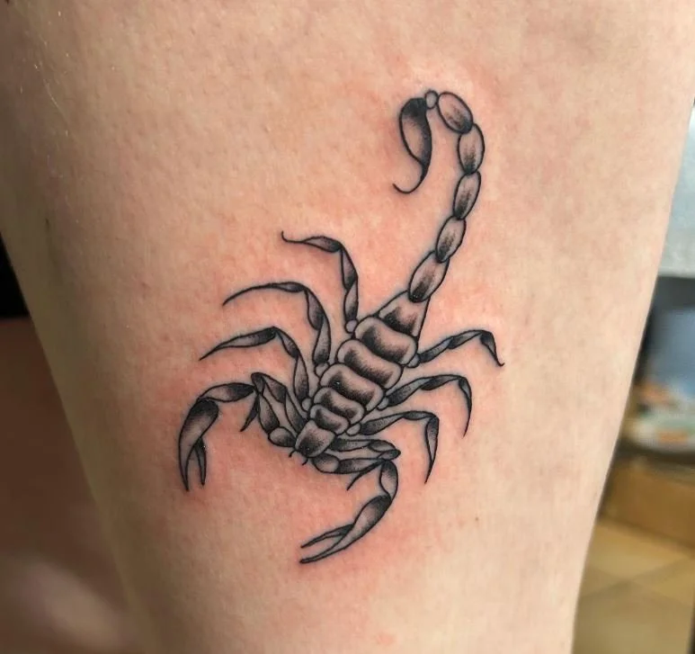 cummings scorpion black and grey arachnid claws.JPG