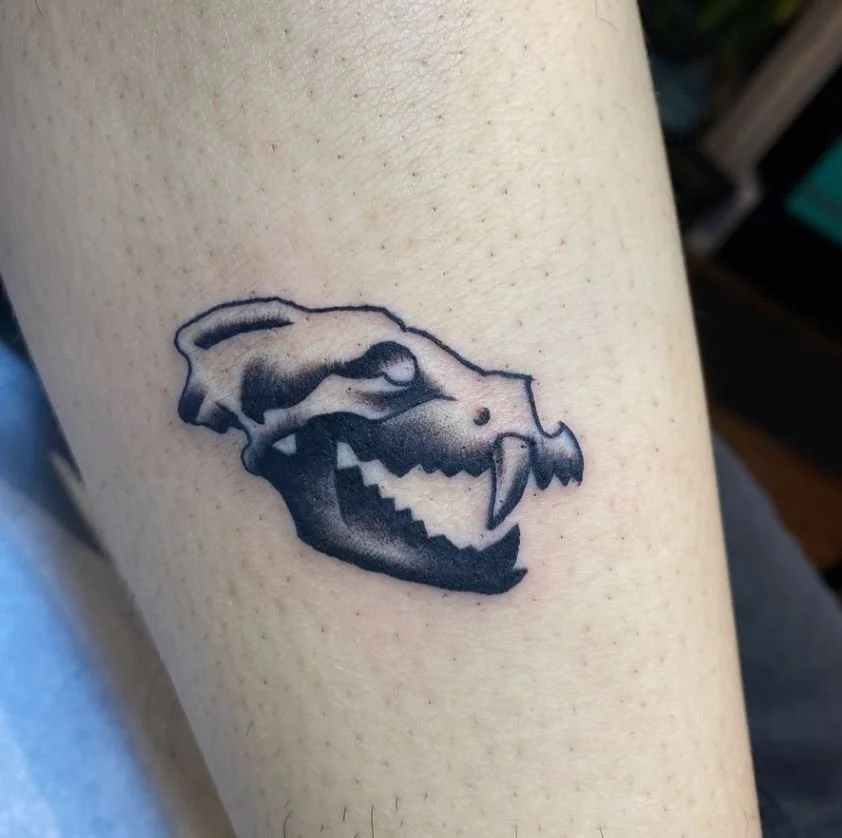 cummings wolf skull.JPG