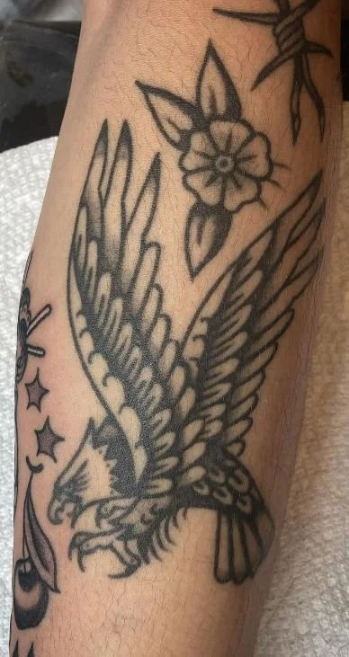 paperdogs eagle healed black and grey traditional bird.JPG