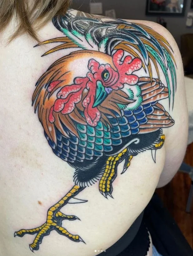 young rooster talon feather bird poultry.JPG