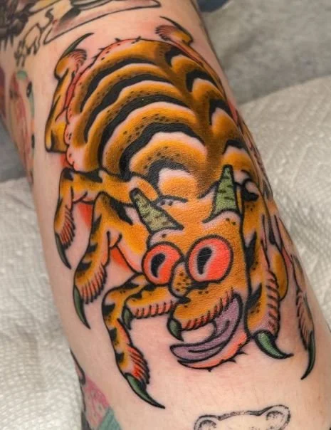 young spider arachnid knee bug insect funky.JPG