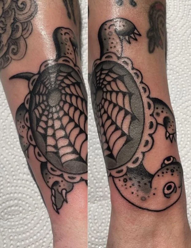 young turtle cobweb spiderweb.JPG