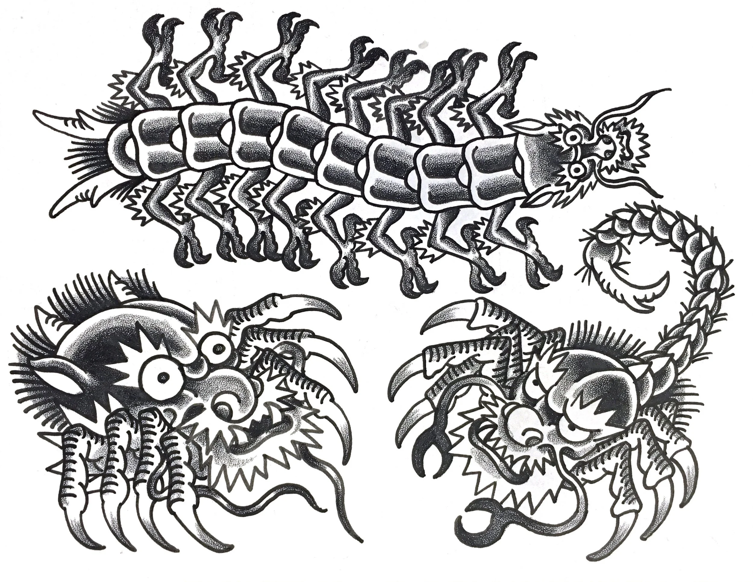 deters dragon insects spider scorpion .jpg
