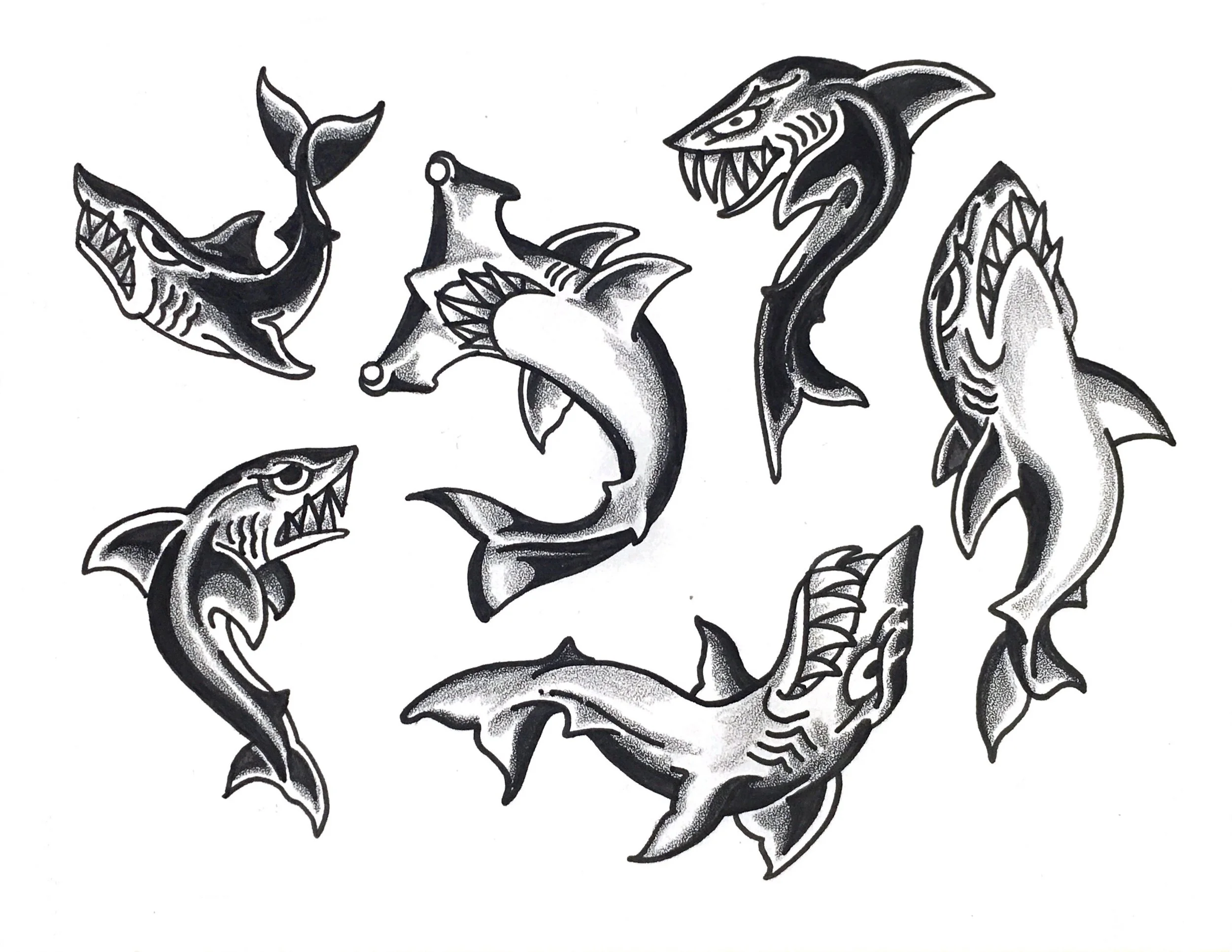 deters sharks .jpg