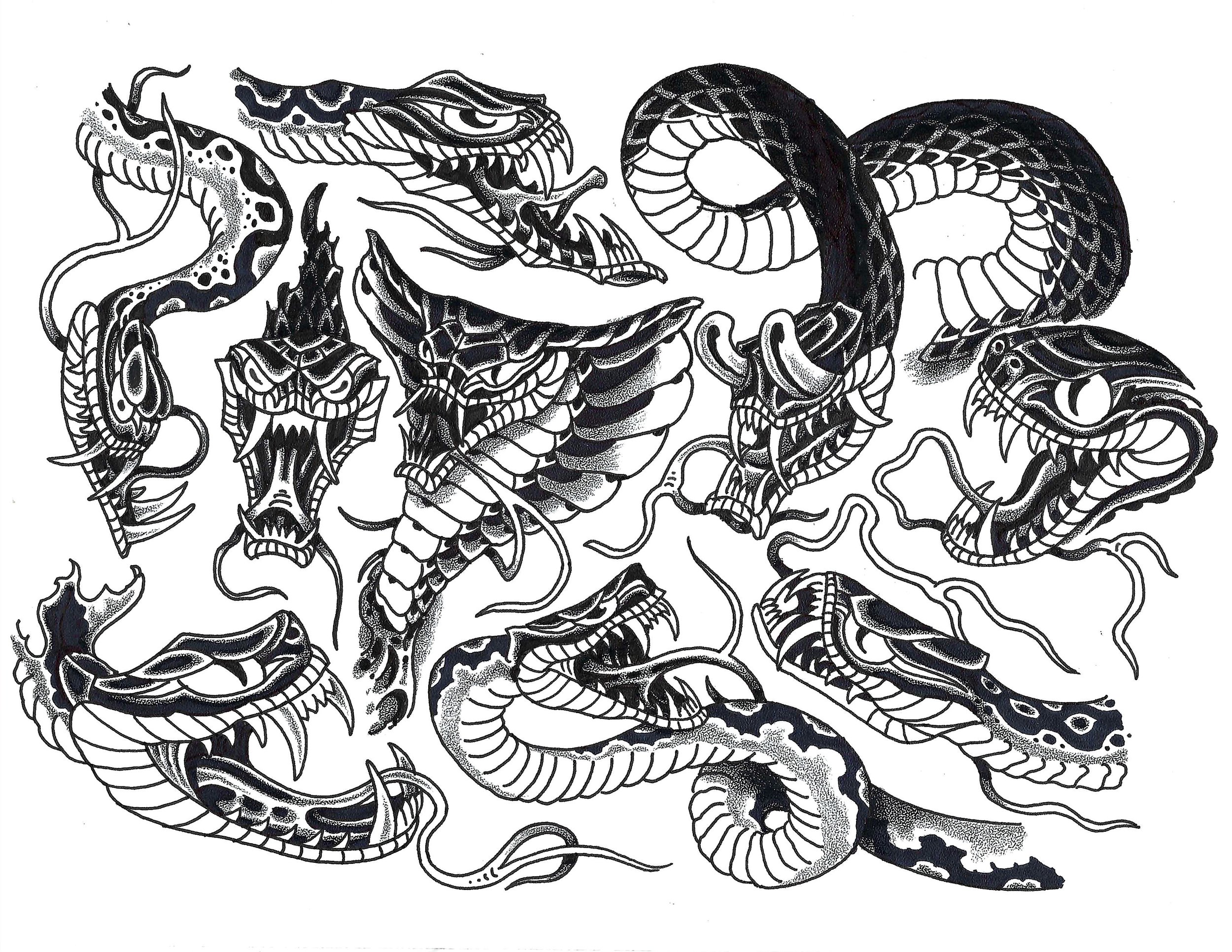 deters snakes .jpg