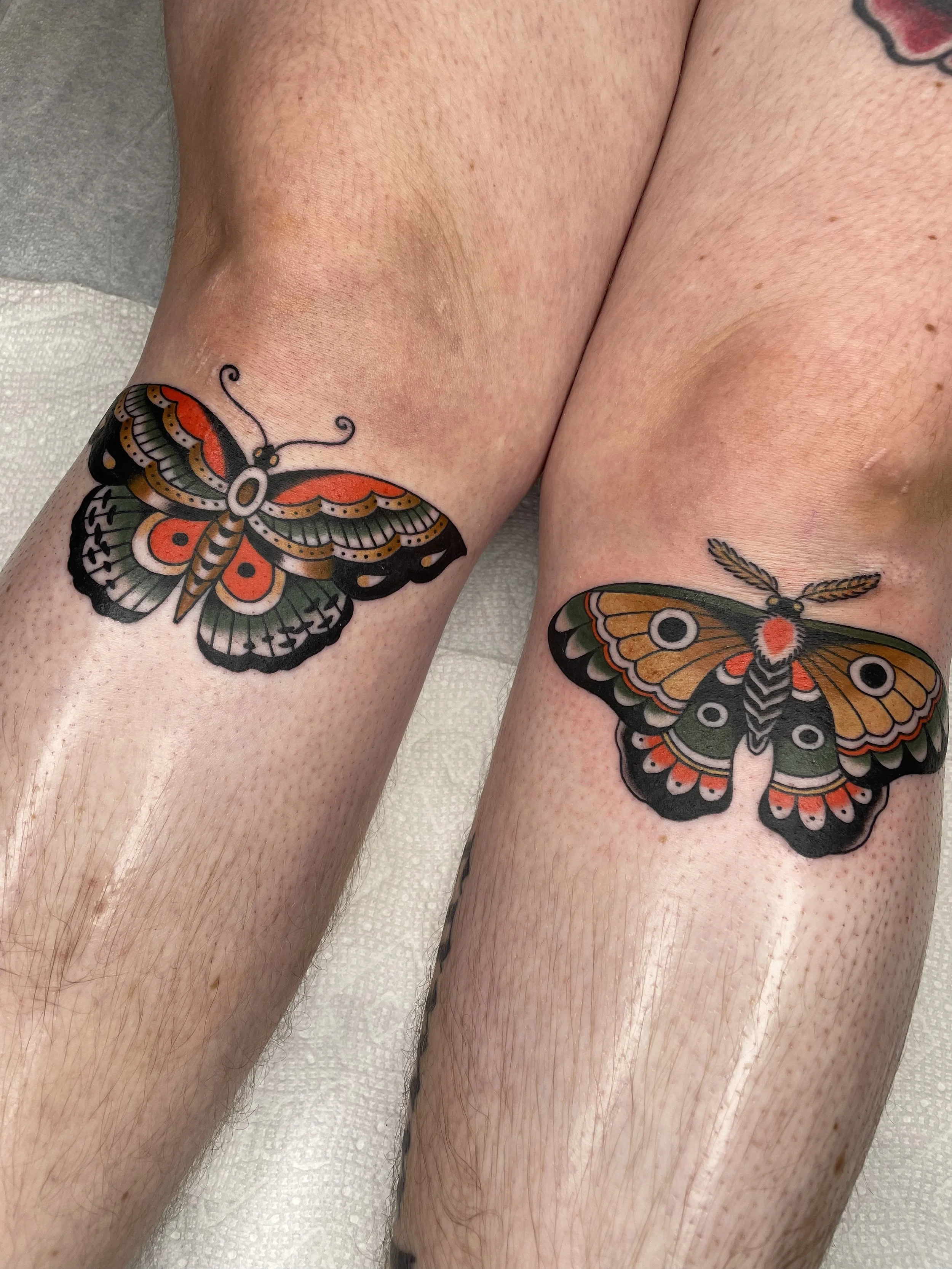 leslie_young_los_angeles_tattoo_American traditional butterfly and moth matching underneath knees color tattoo 2023.jpg