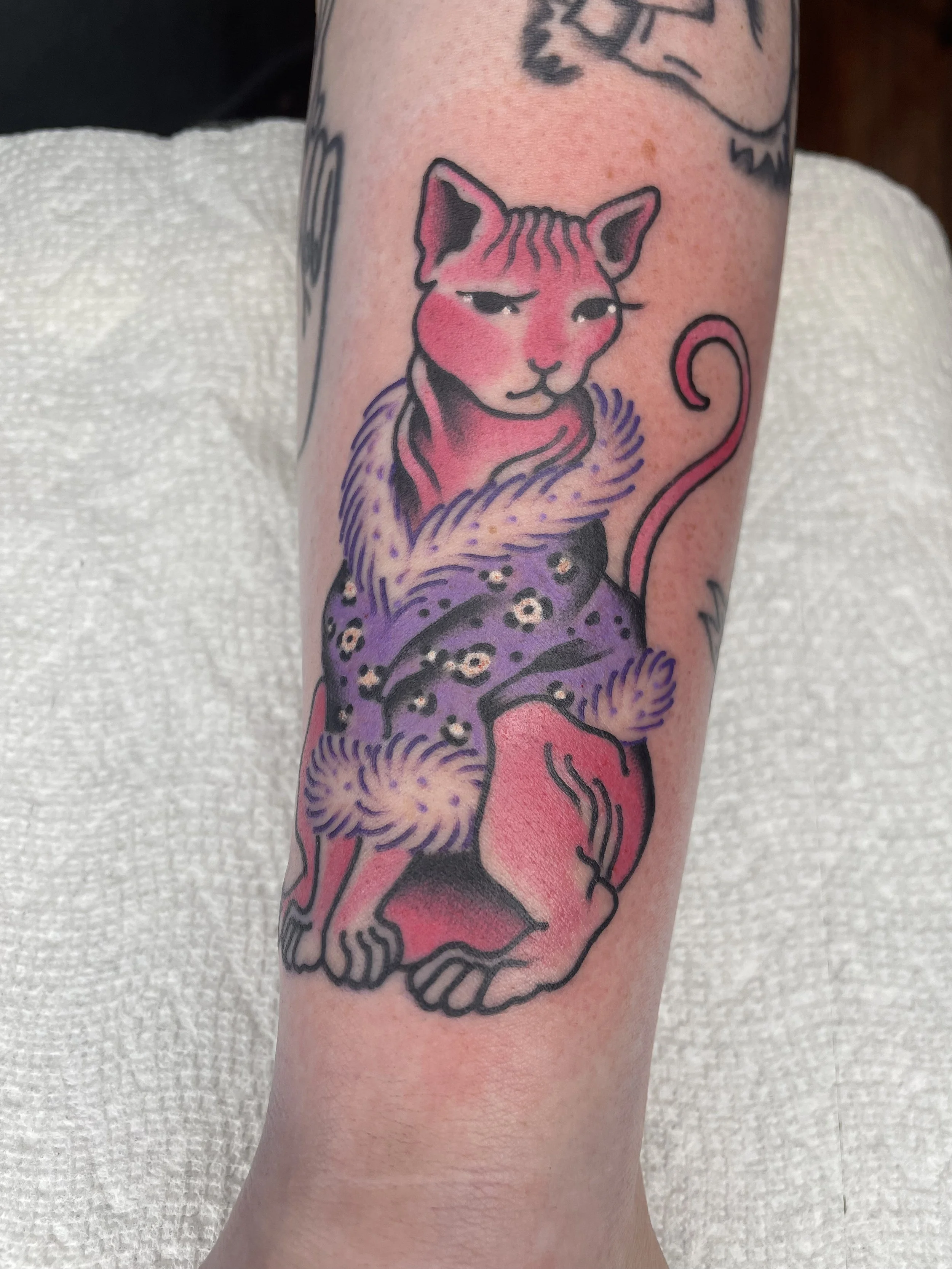 leslie_young_los_angeles_tattoo_Illustrative traditional sphynx sphinx hairless cat pink leopard fur flash color tattoo 2024.jpg