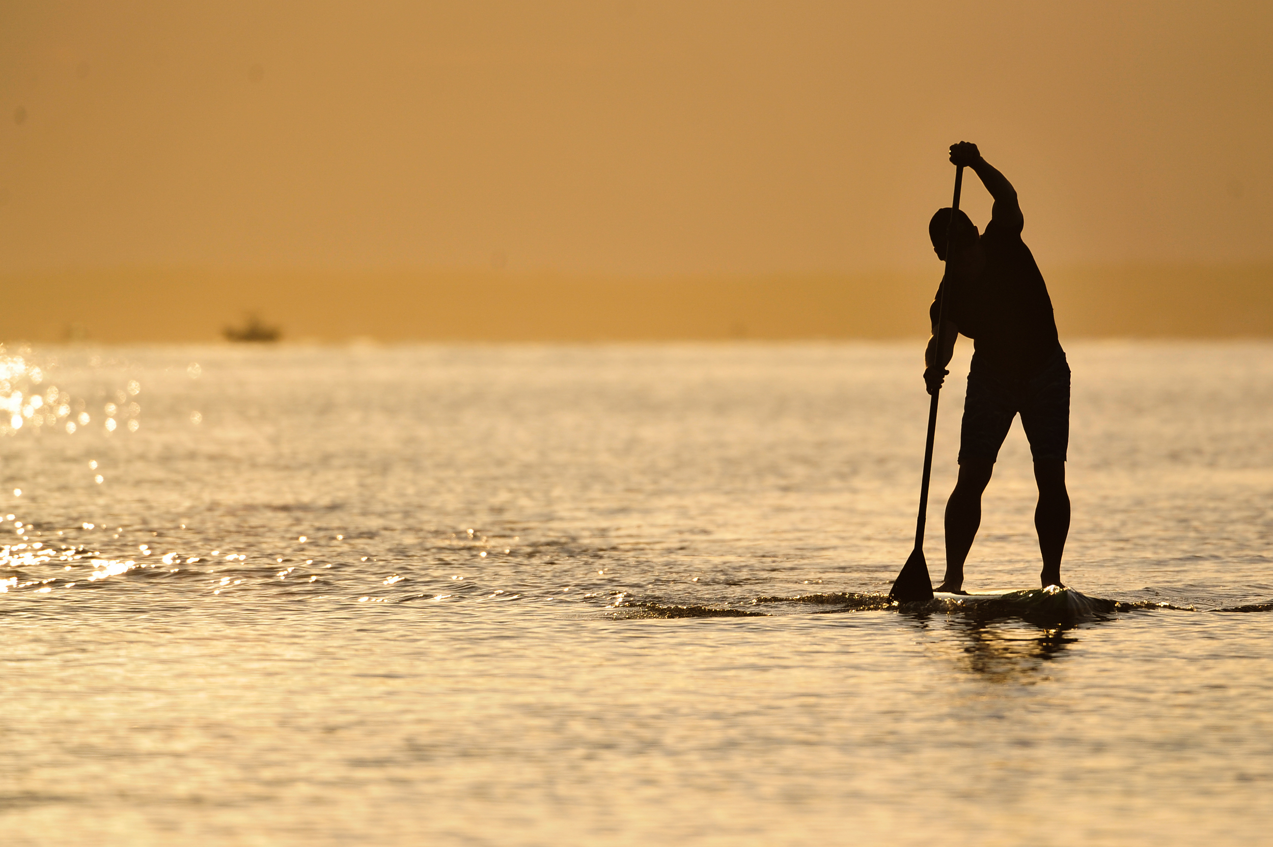 Sunrise SUP | An Annapolis Paddleboarding Destination | Family Friendly  Paddleboarding in Annapolis, MD